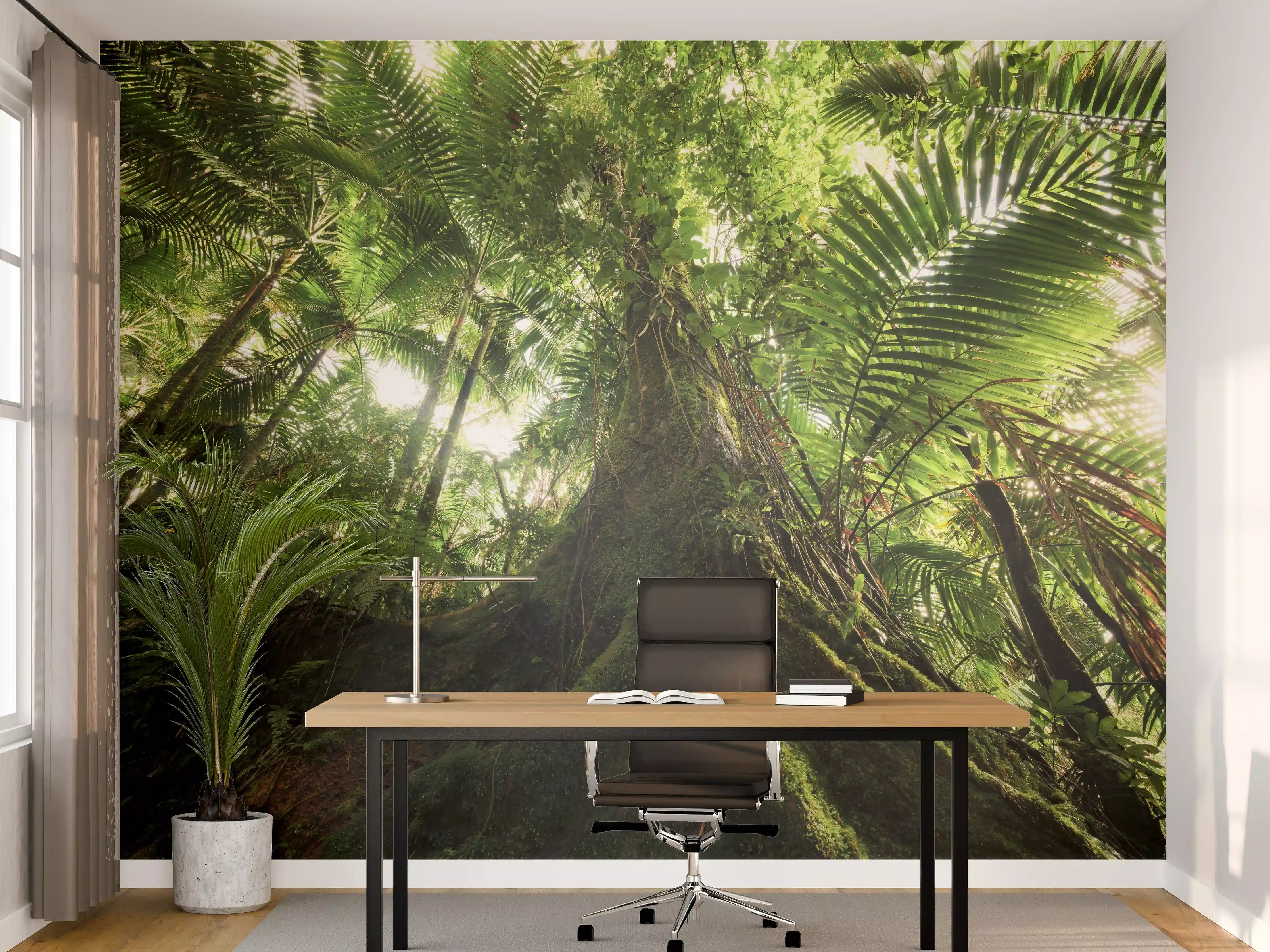 Büro Wandgestaltung - Tropischer Dschungel Wald