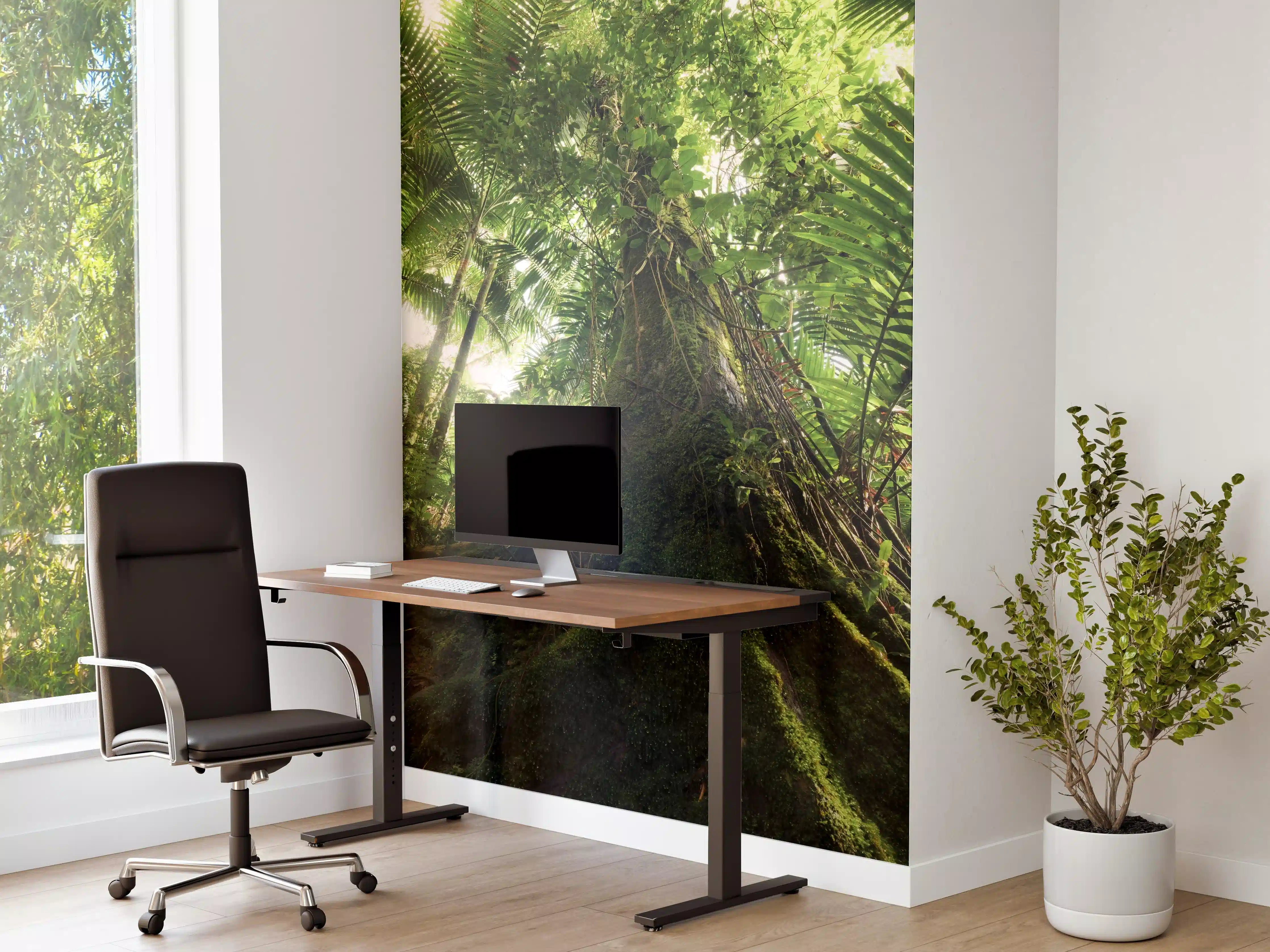 Büro Wandgestaltung - Tropischer Dschungel Wald
