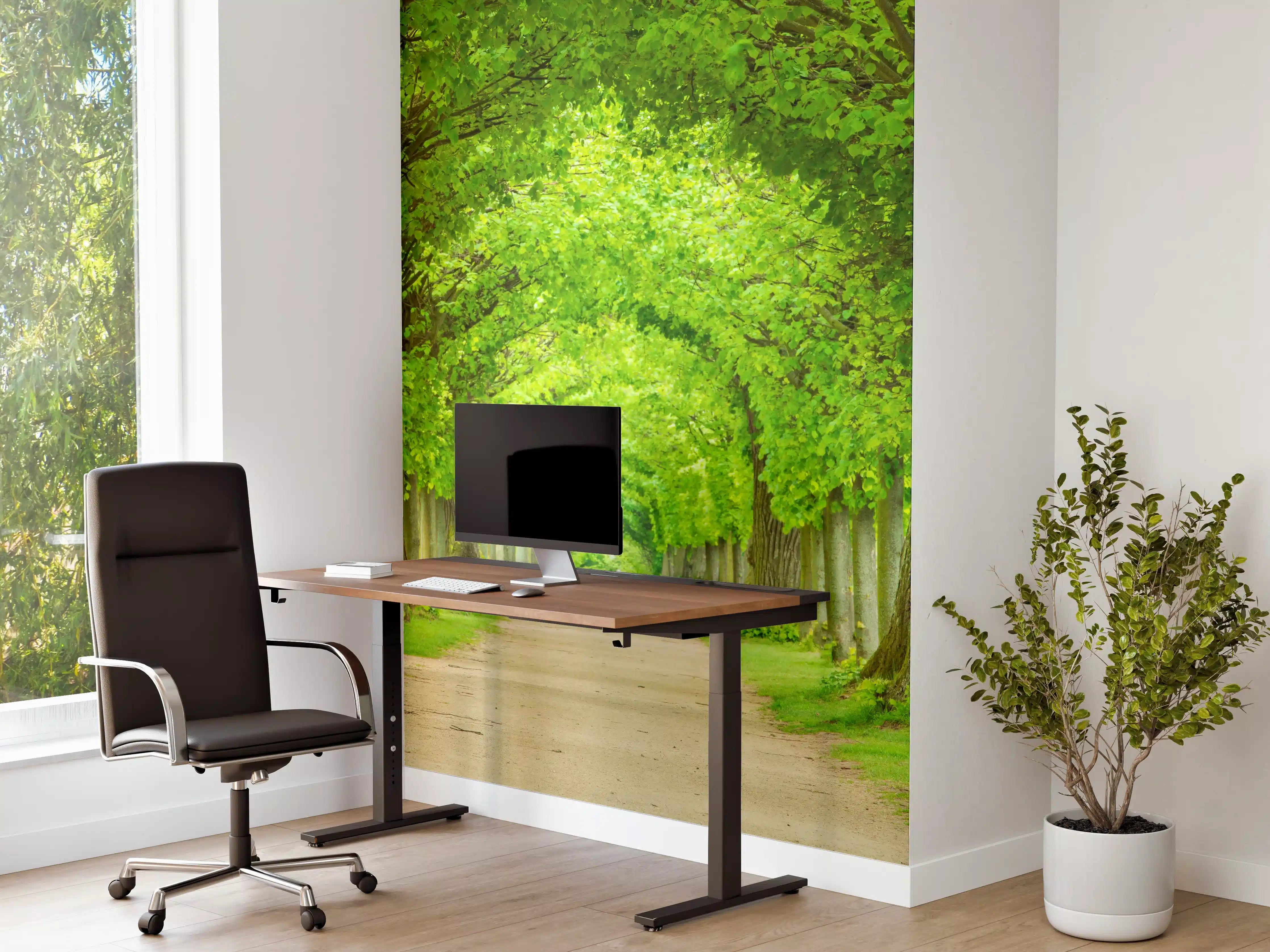 Büro Wandgestaltung - Tunnelartige Lindenallee im Frühling