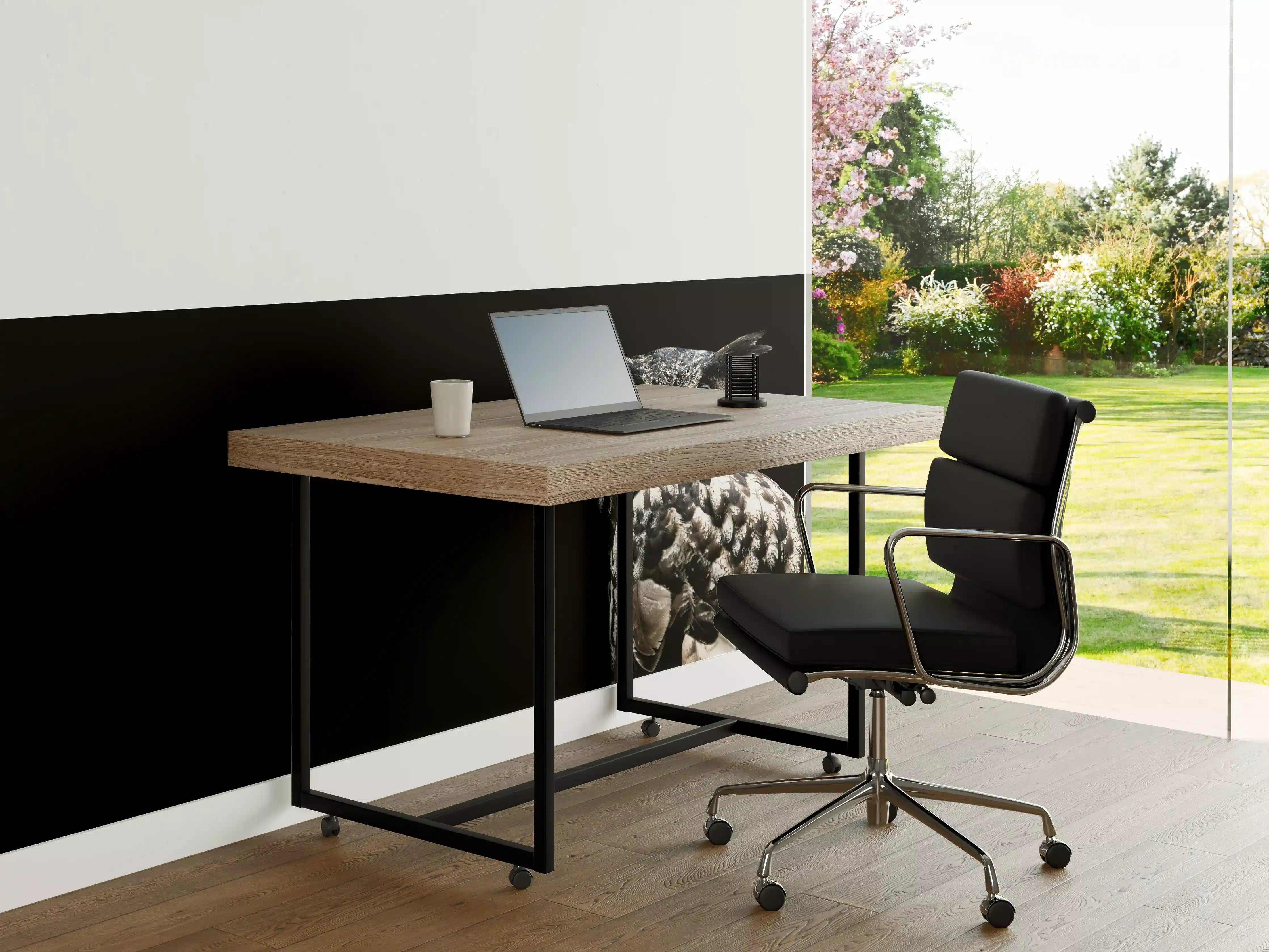 Büro Wandgestaltung - Uhu auf schwarzem Hintergrund