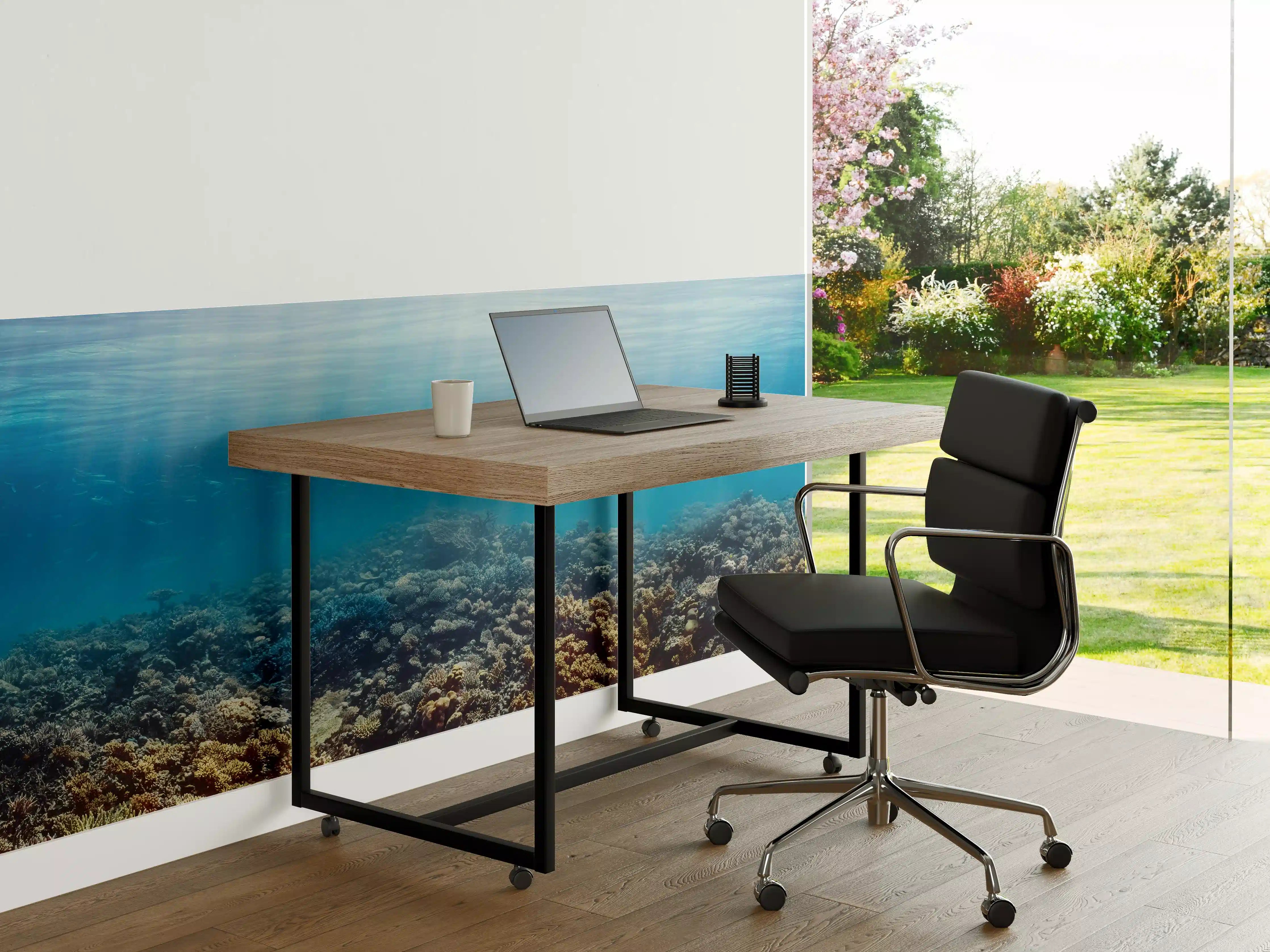 Büro Wandgestaltung - Unterwasser-Korallenriff im Roten Meer