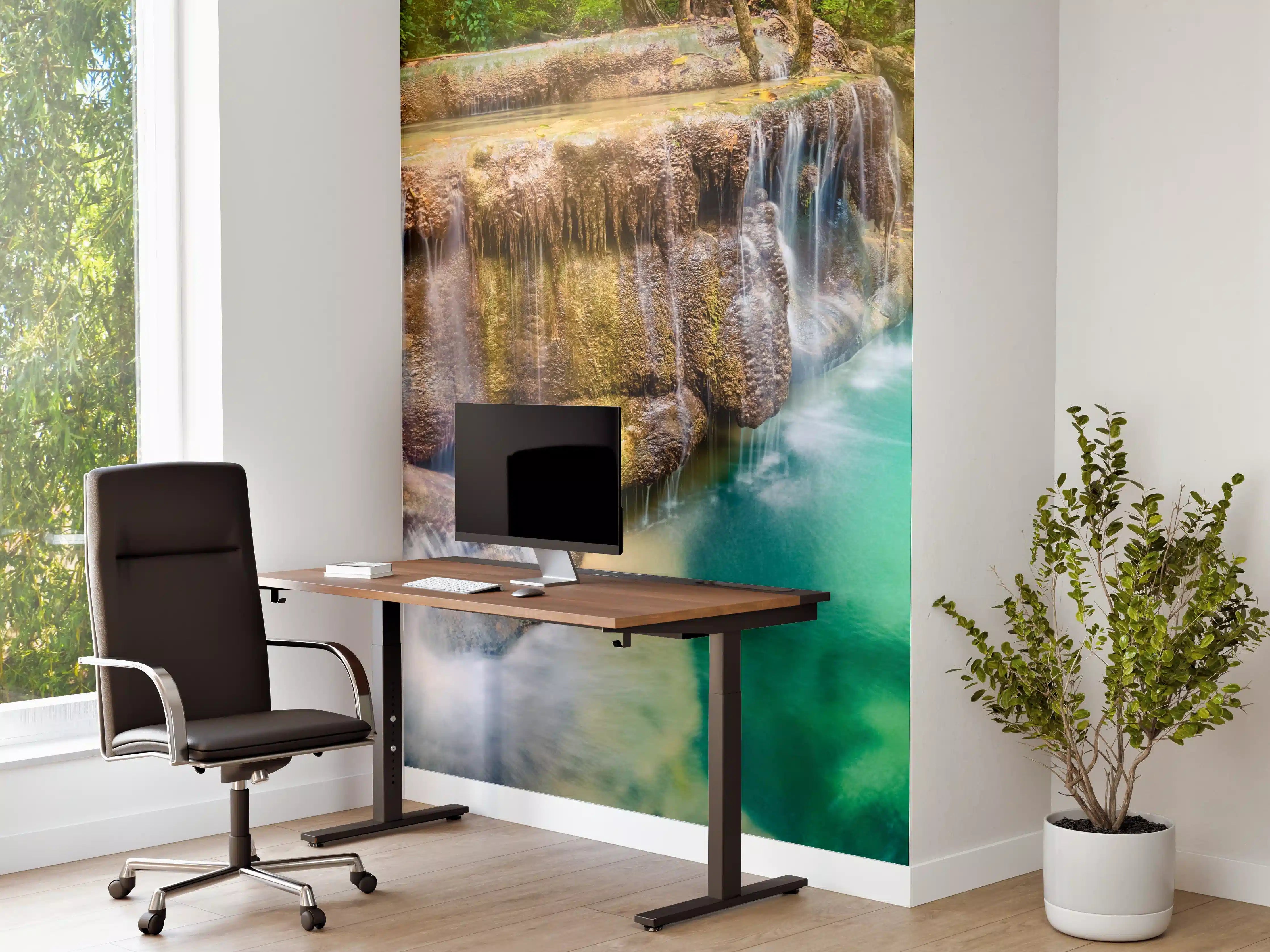 Büro Wandgestaltung - Verborgene Oase im Regenwald
