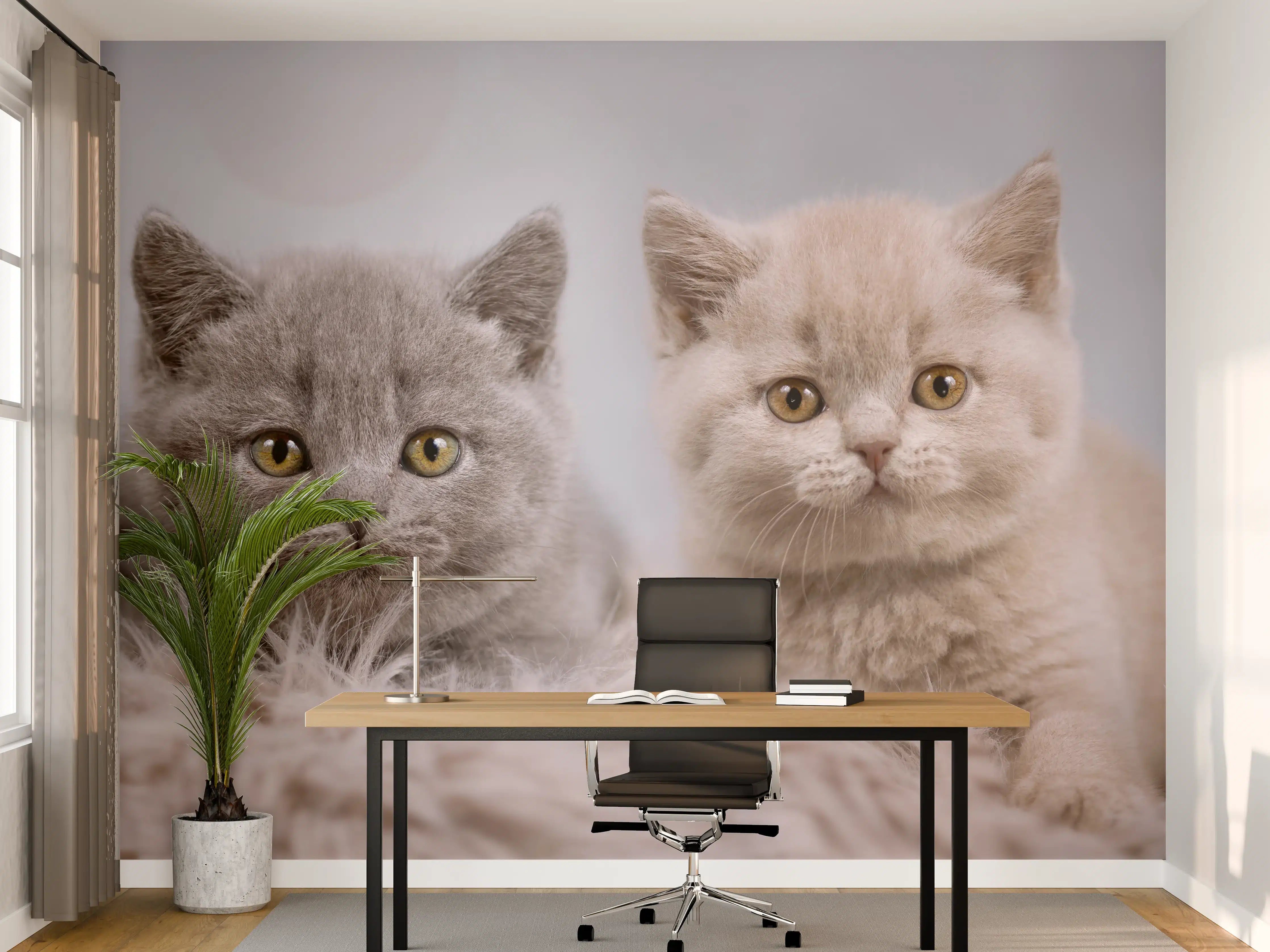 Büro Wandgestaltung - Vier süße Katzenbaby