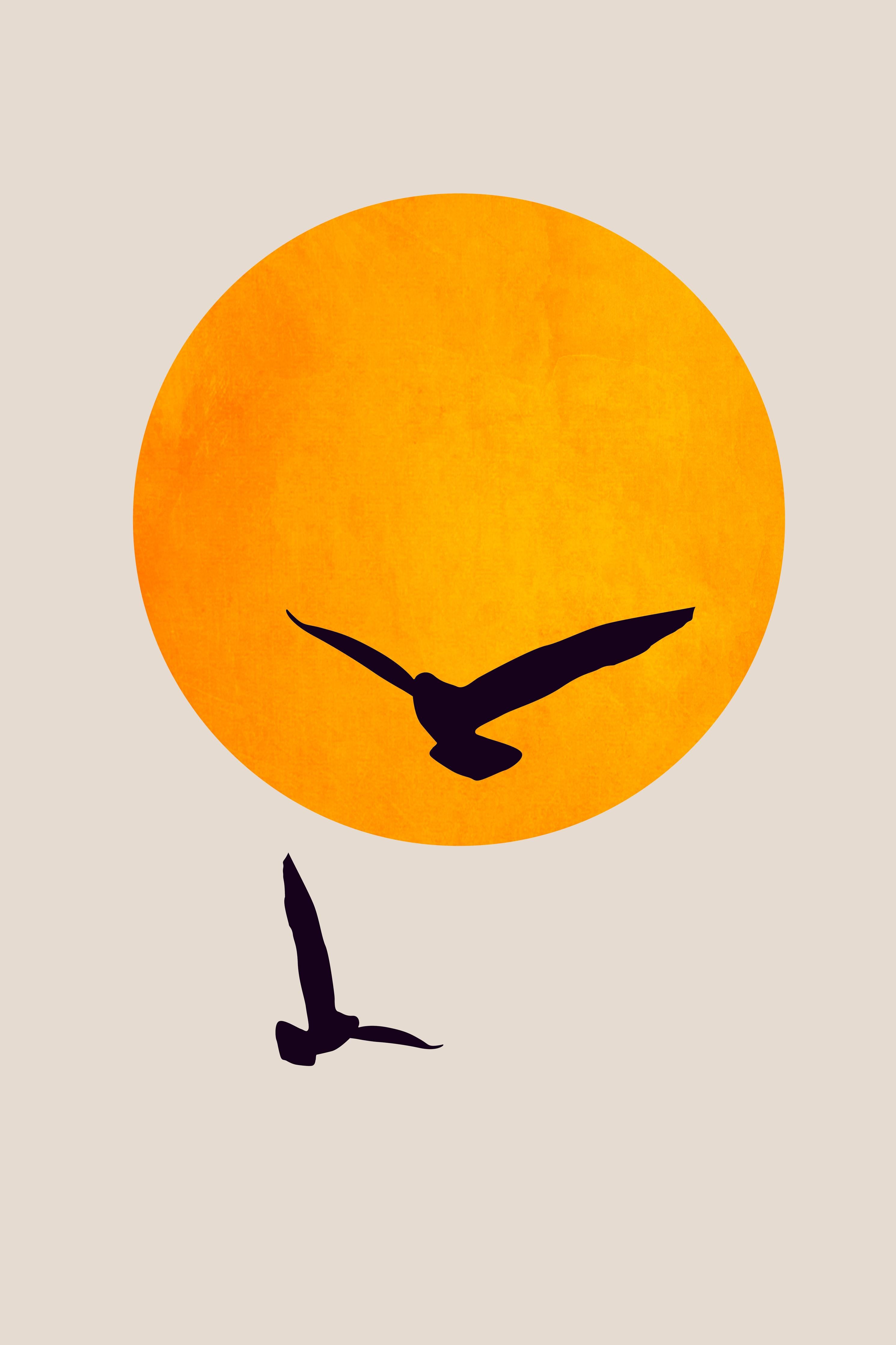 Büro Wandgestaltung-Vögel im Himmel - Grafik