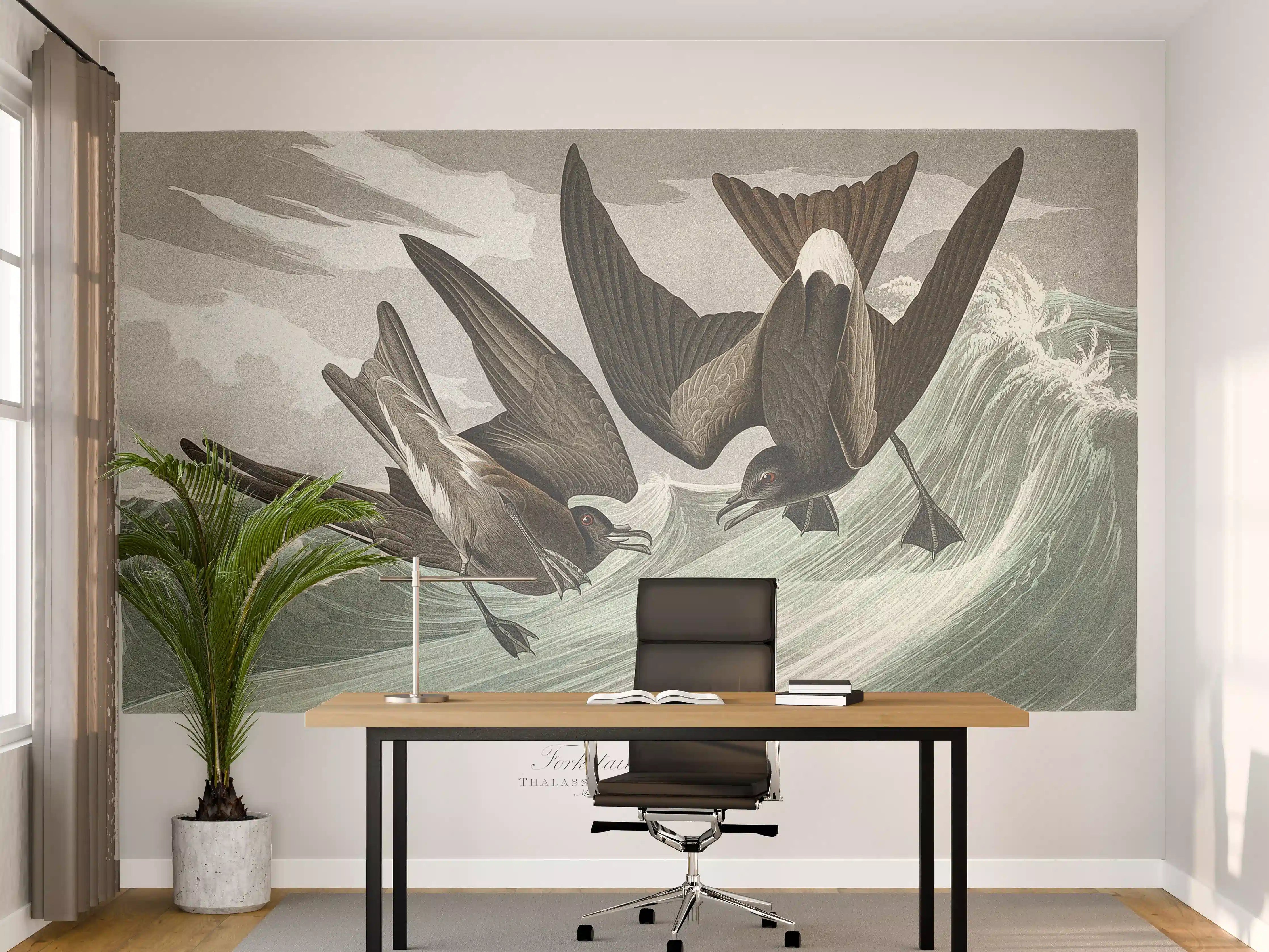 Büro Wandgestaltung - Vögel mitten im Meer - Robert Havell 