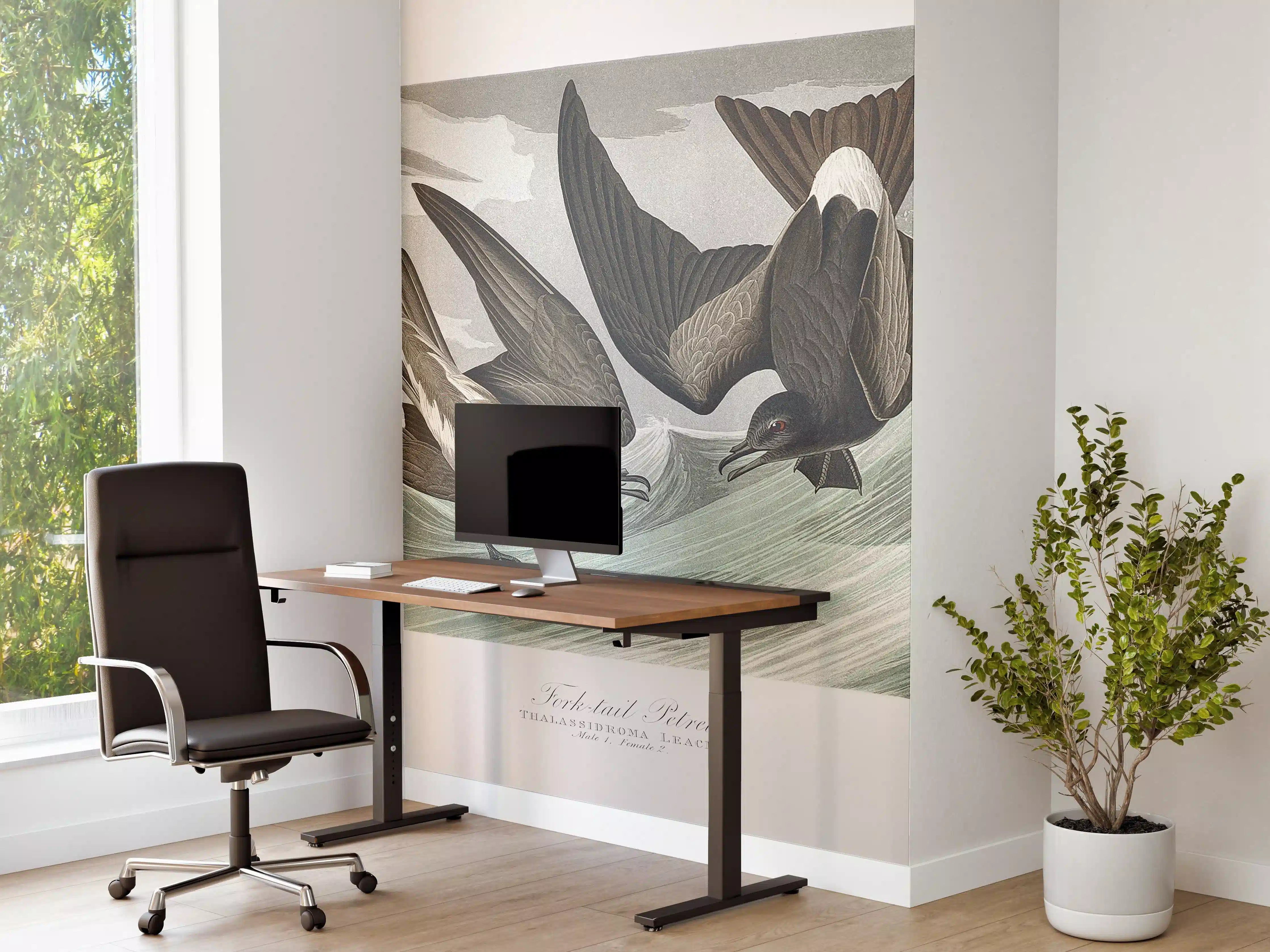 Büro Wandgestaltung - Vögel mitten im Meer - Robert Havell 