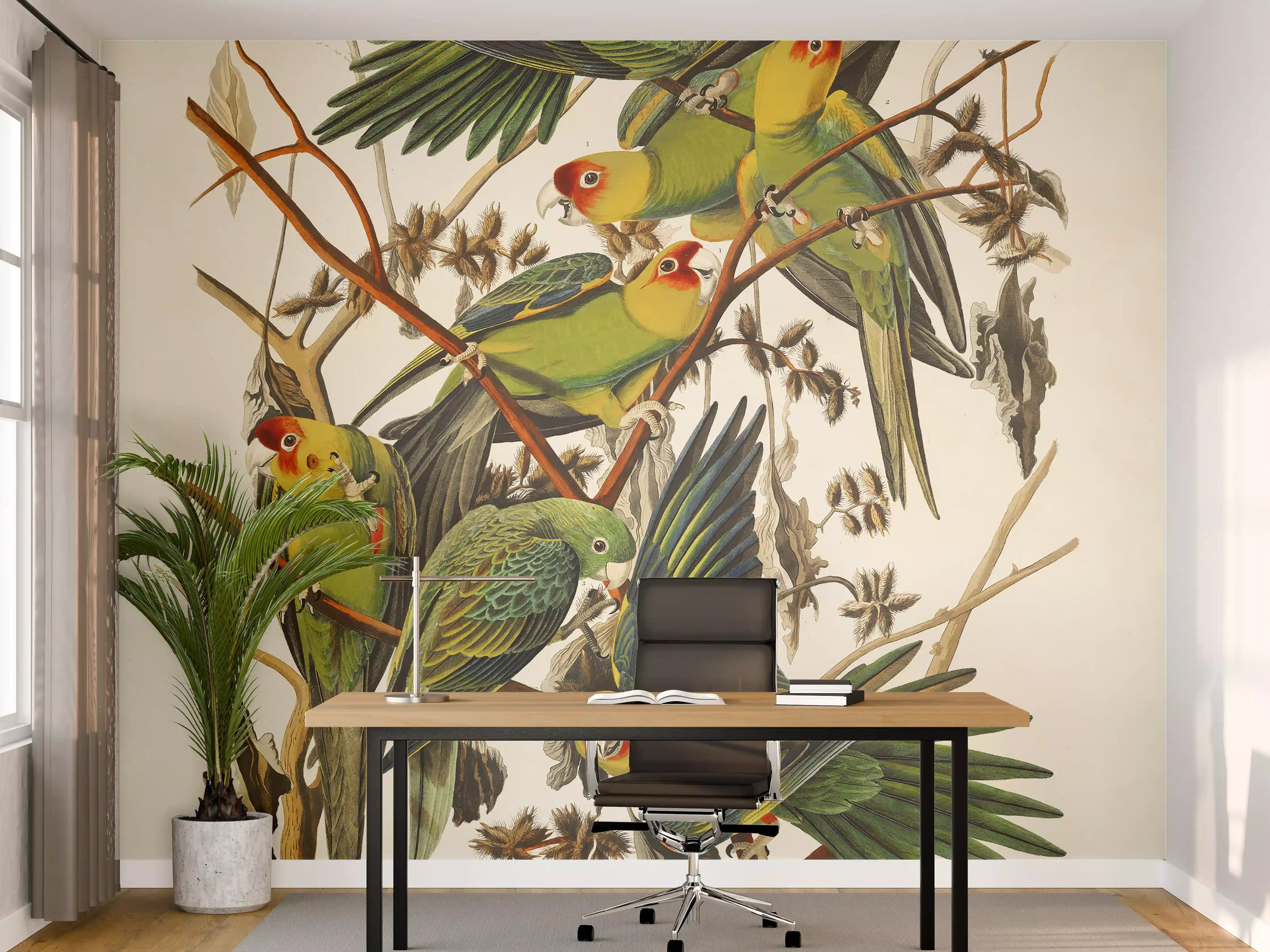 Büro Wandgestaltung - Vogel Portait - Robert Havell 