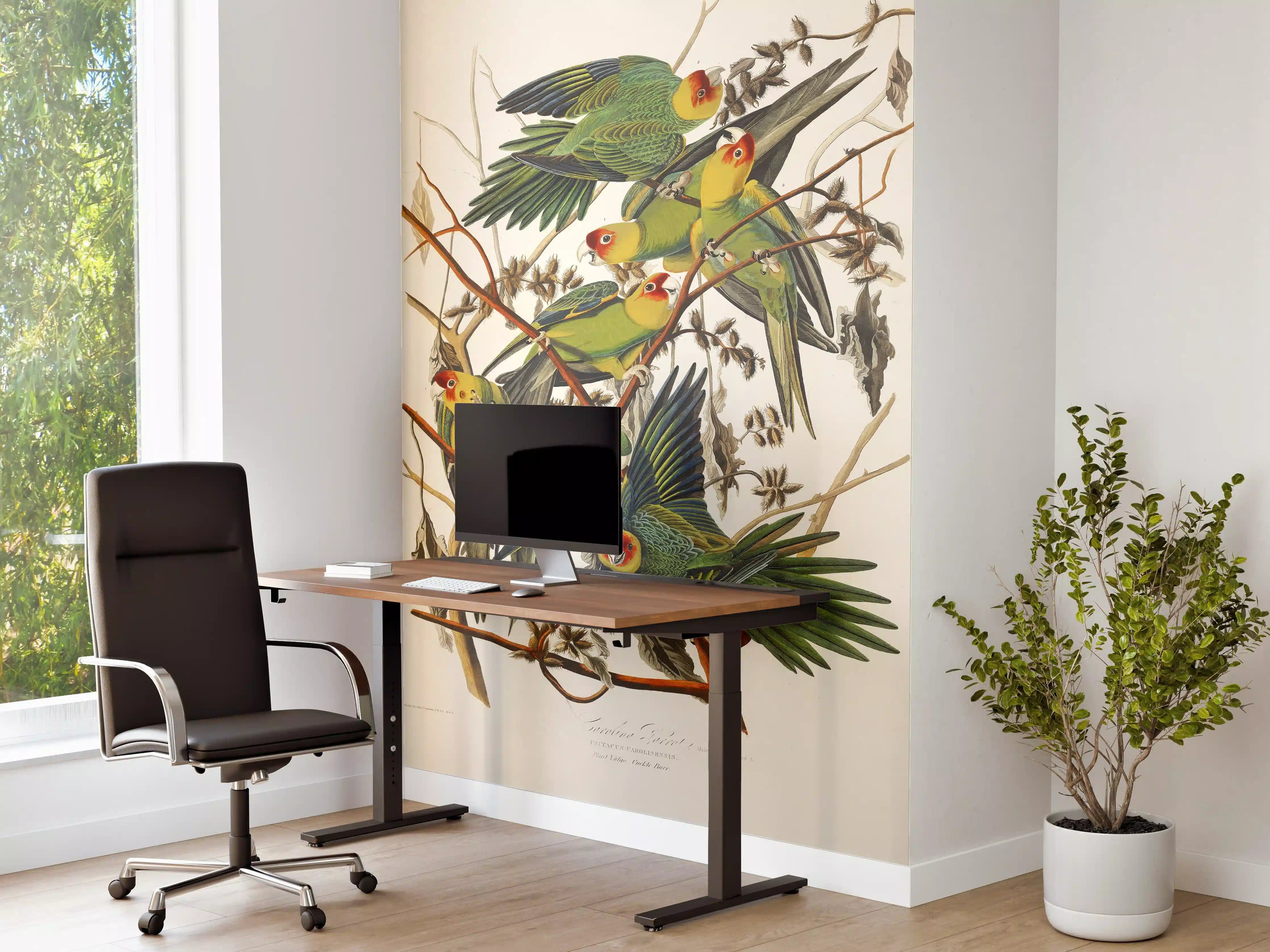 Büro Wandgestaltung - Vogel Portait - Robert Havell 