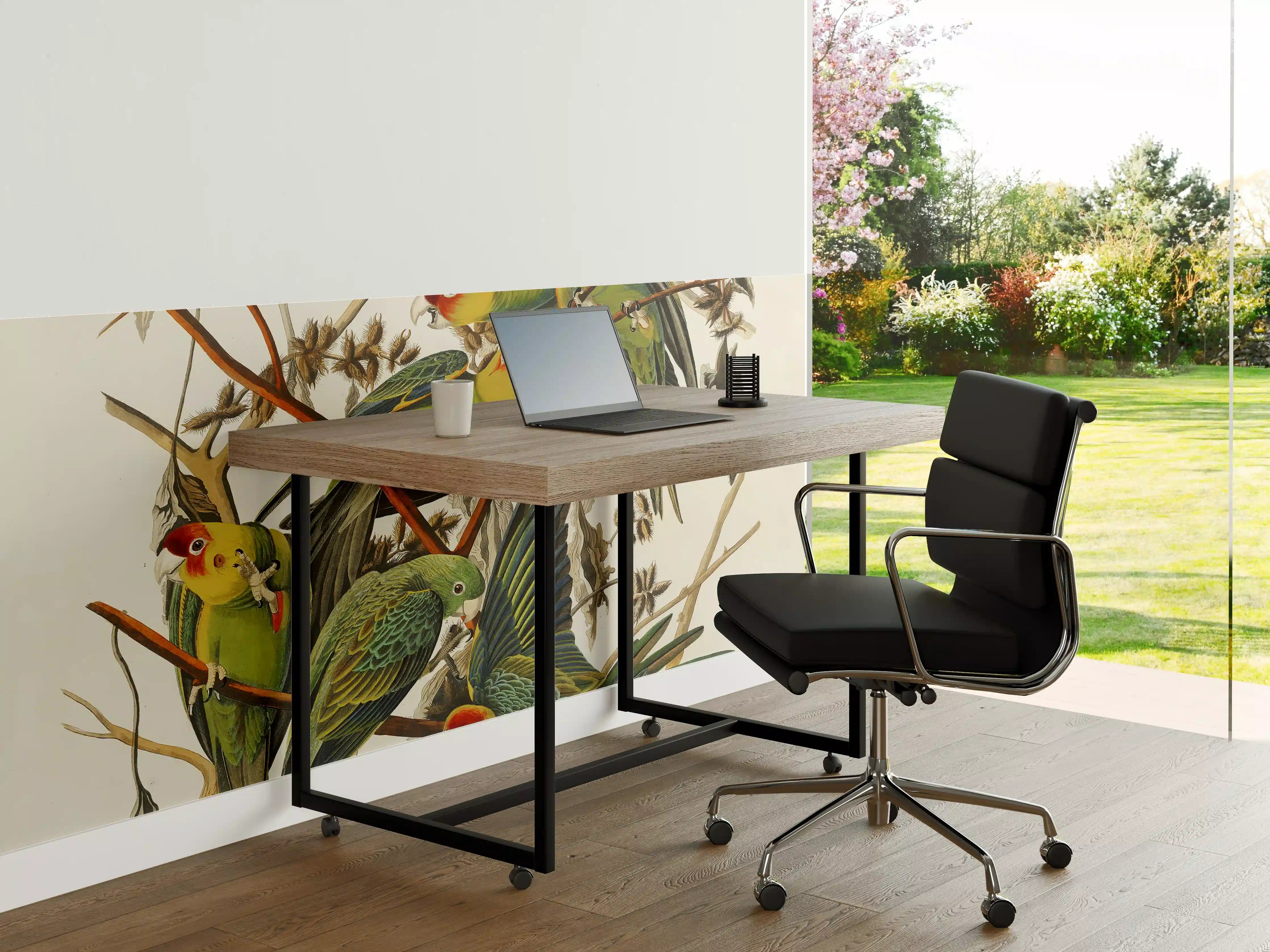 Büro Wandgestaltung - Vogel Portait - Robert Havell 