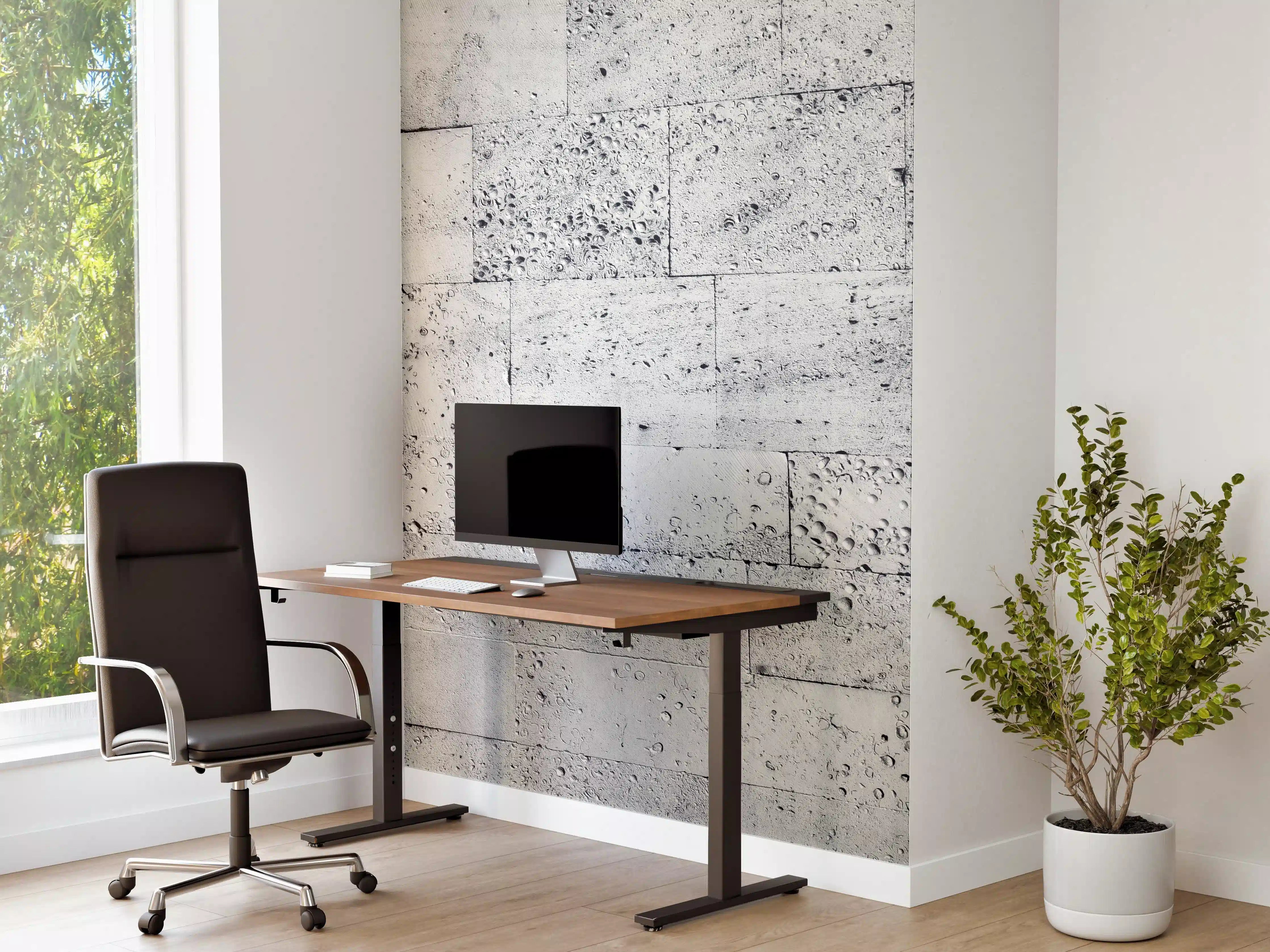 Büro Wandgestaltung - Vogelpedia mit Palmen und antiker Landkarte