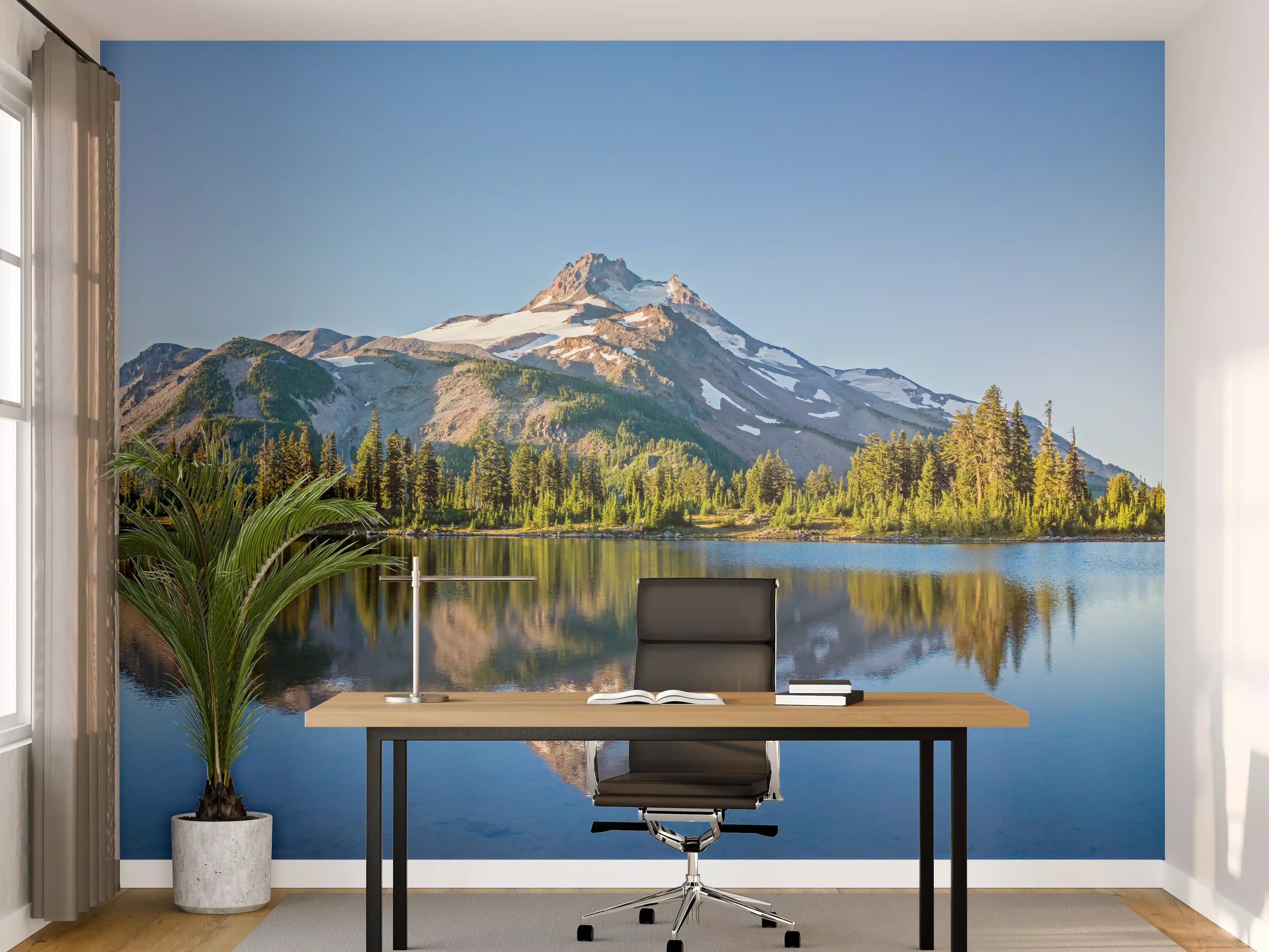 Büro Wandgestaltung - Vulkanischer Berg Jefferson Park USA