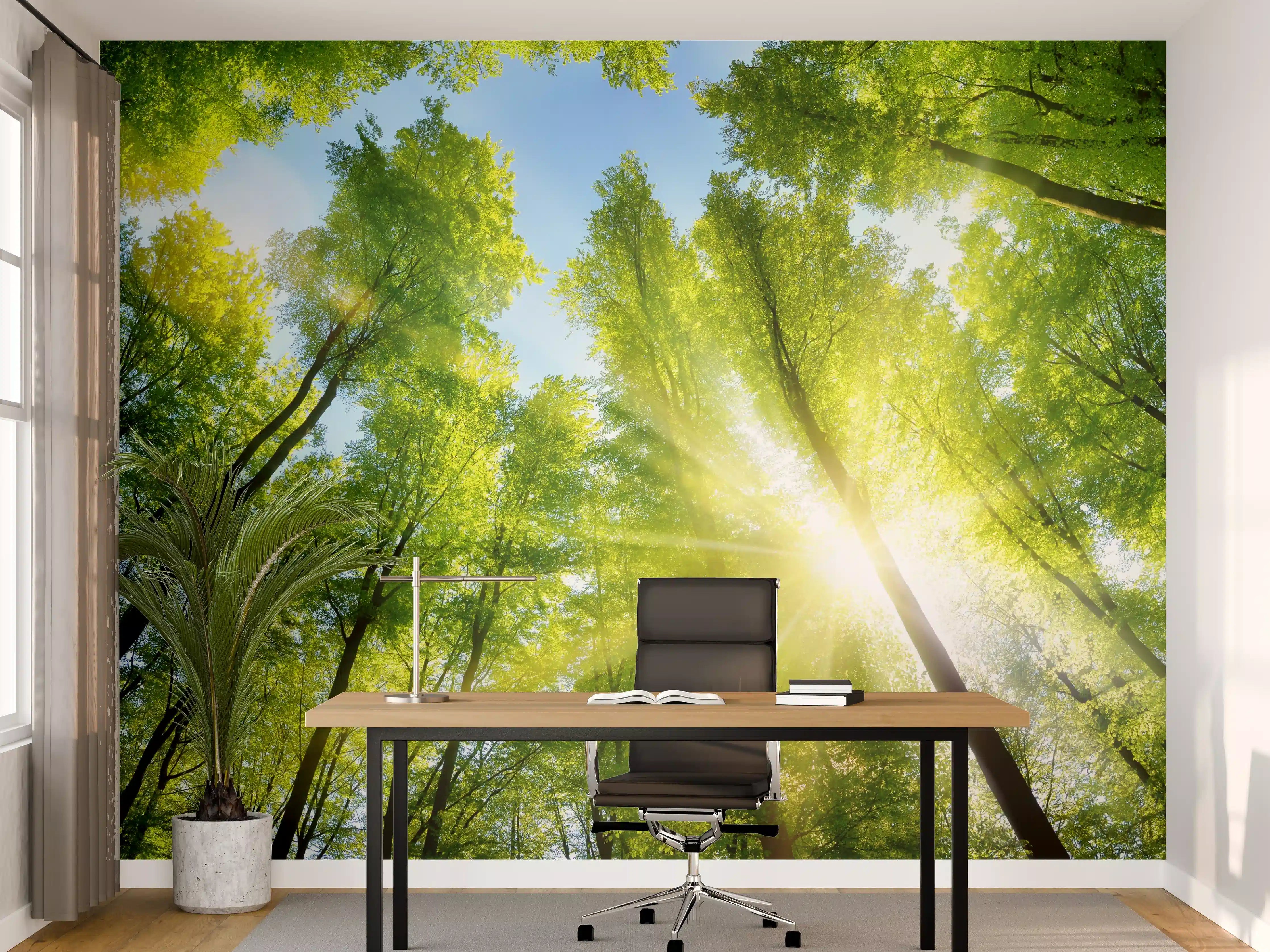 Büro Wandgestaltung - Wald im Grau der Frühlingserwachen