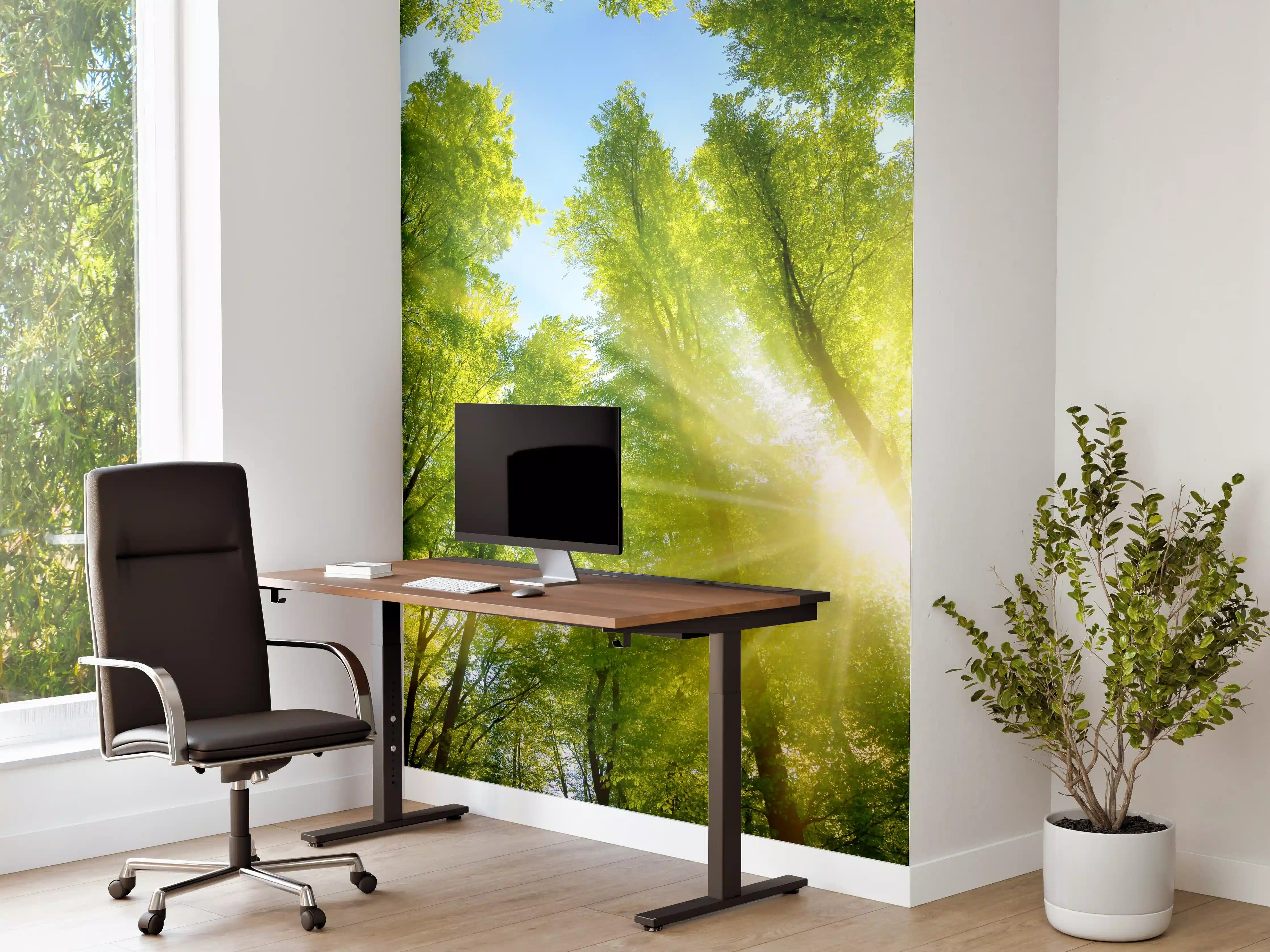 Büro Wandgestaltung - Wald im Grau der Frühlingserwachen