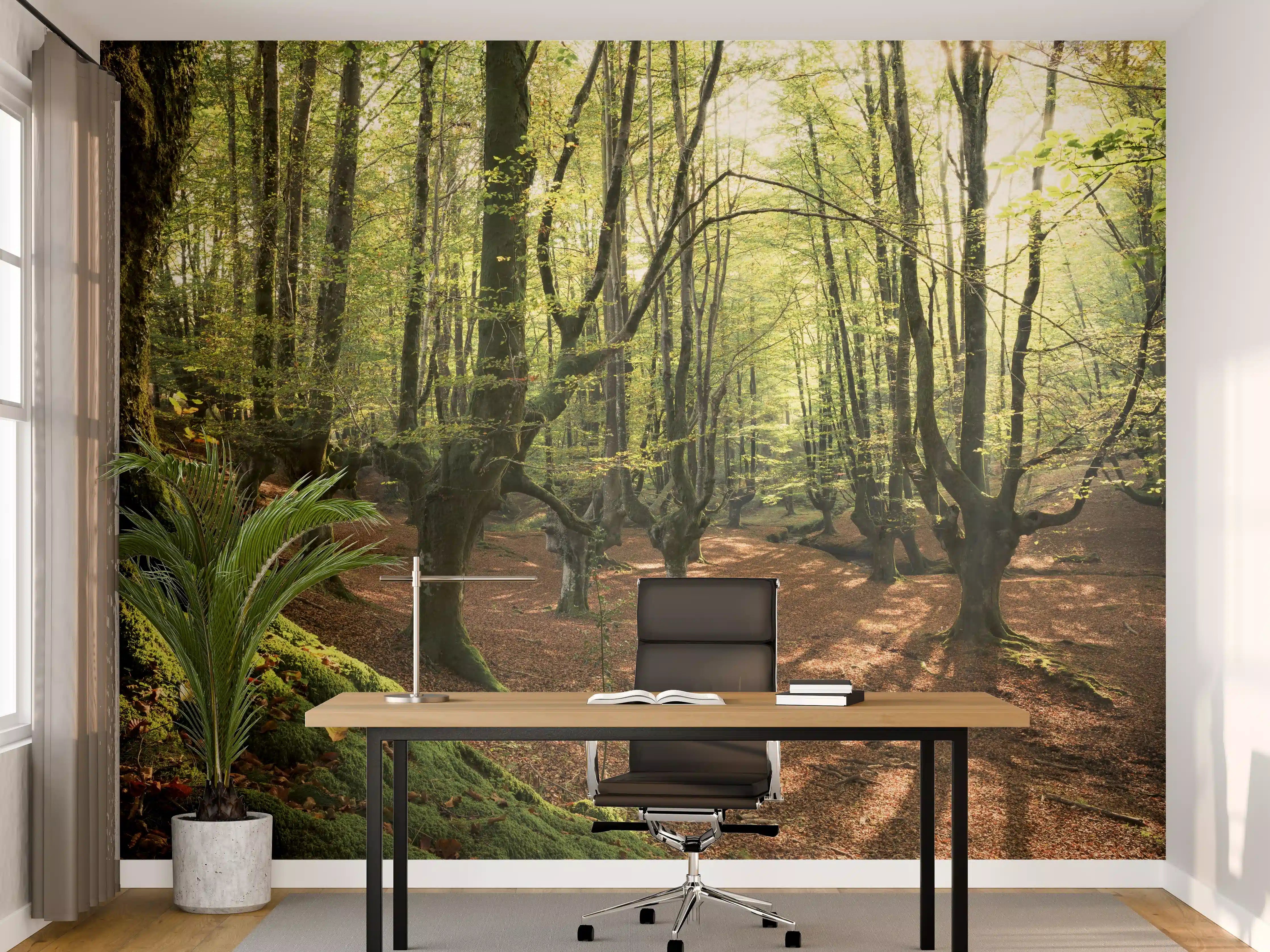 Büro Wandgestaltung - Wald in Spanien