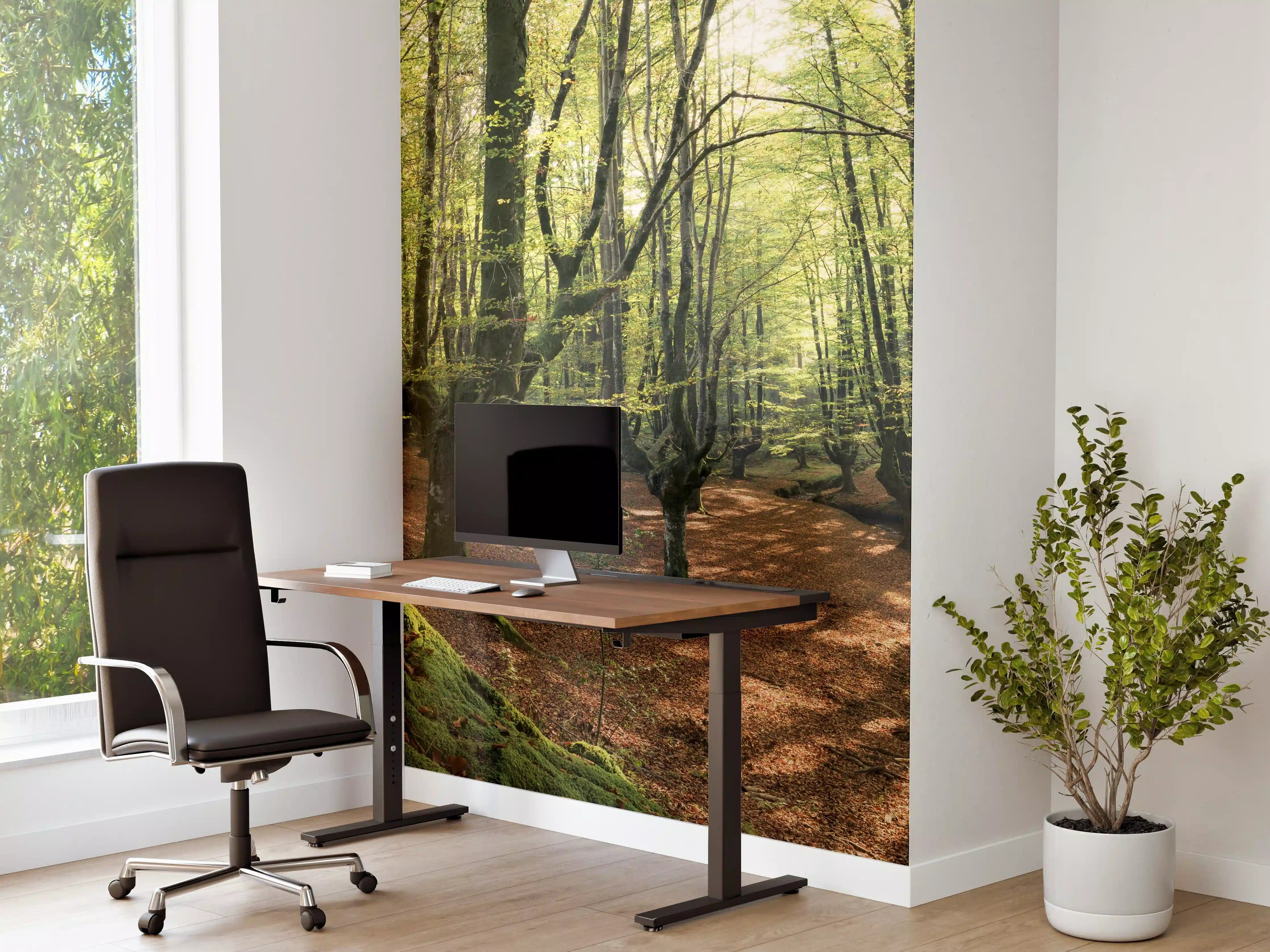 Büro Wandgestaltung - Wald in Spanien