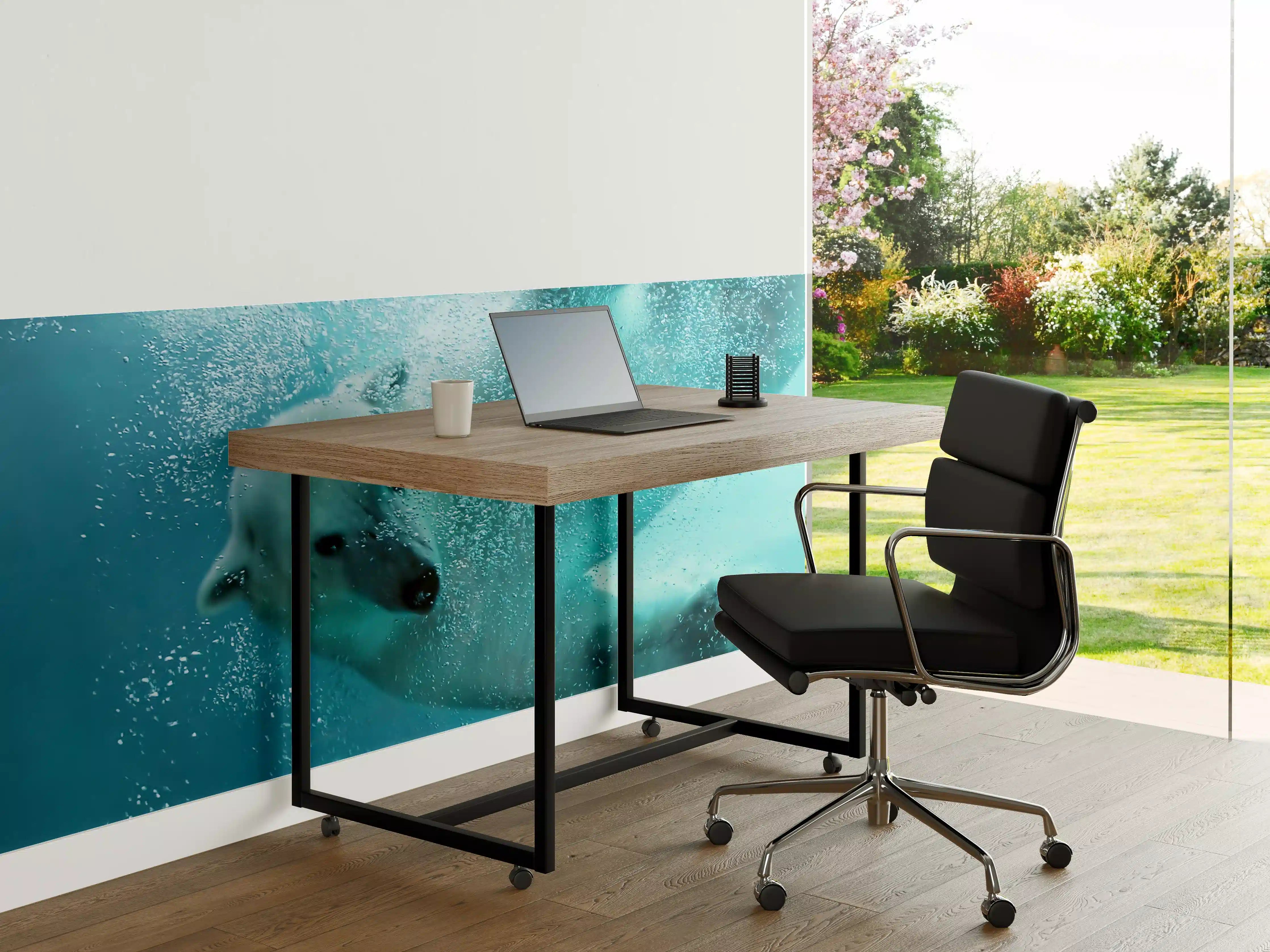 Büro Wandgestaltung - Wasserabenteuer mit Polarhund