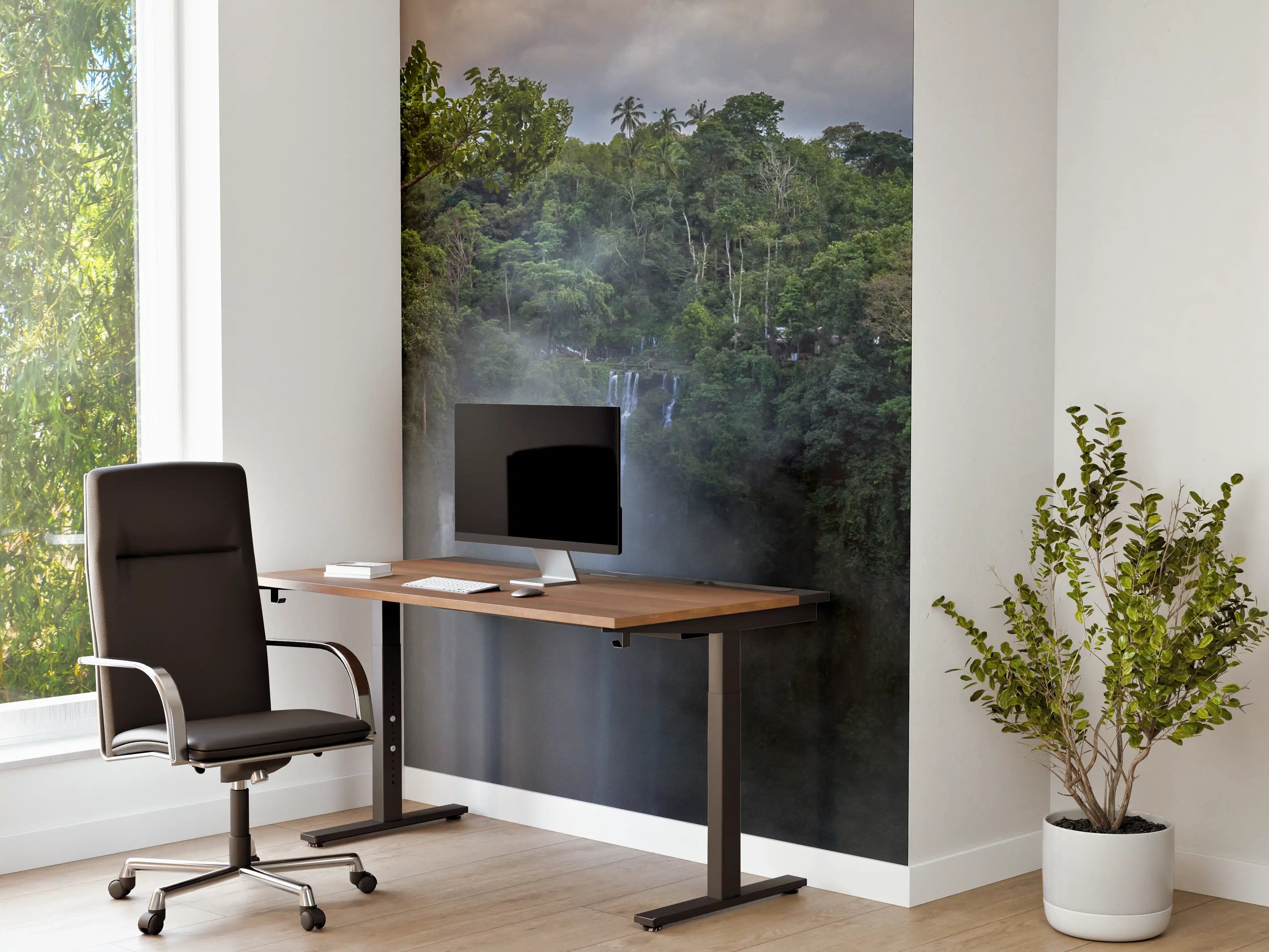 Büro Wandgestaltung - Wasserfälle im Regenwald