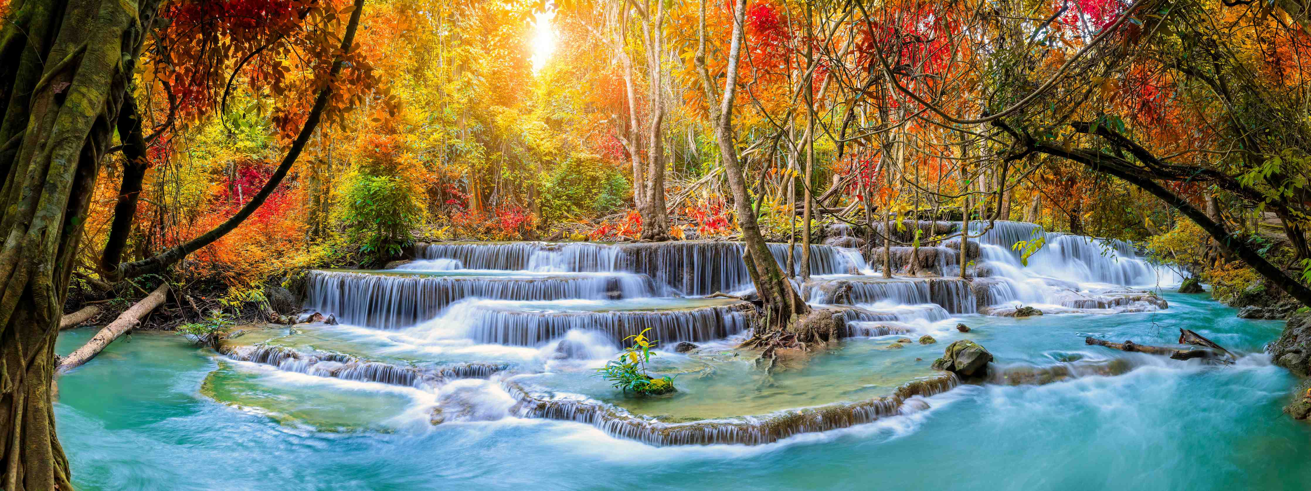 Büro Wandgestaltung-Wasserfall im Wald Thailand Nationalparks