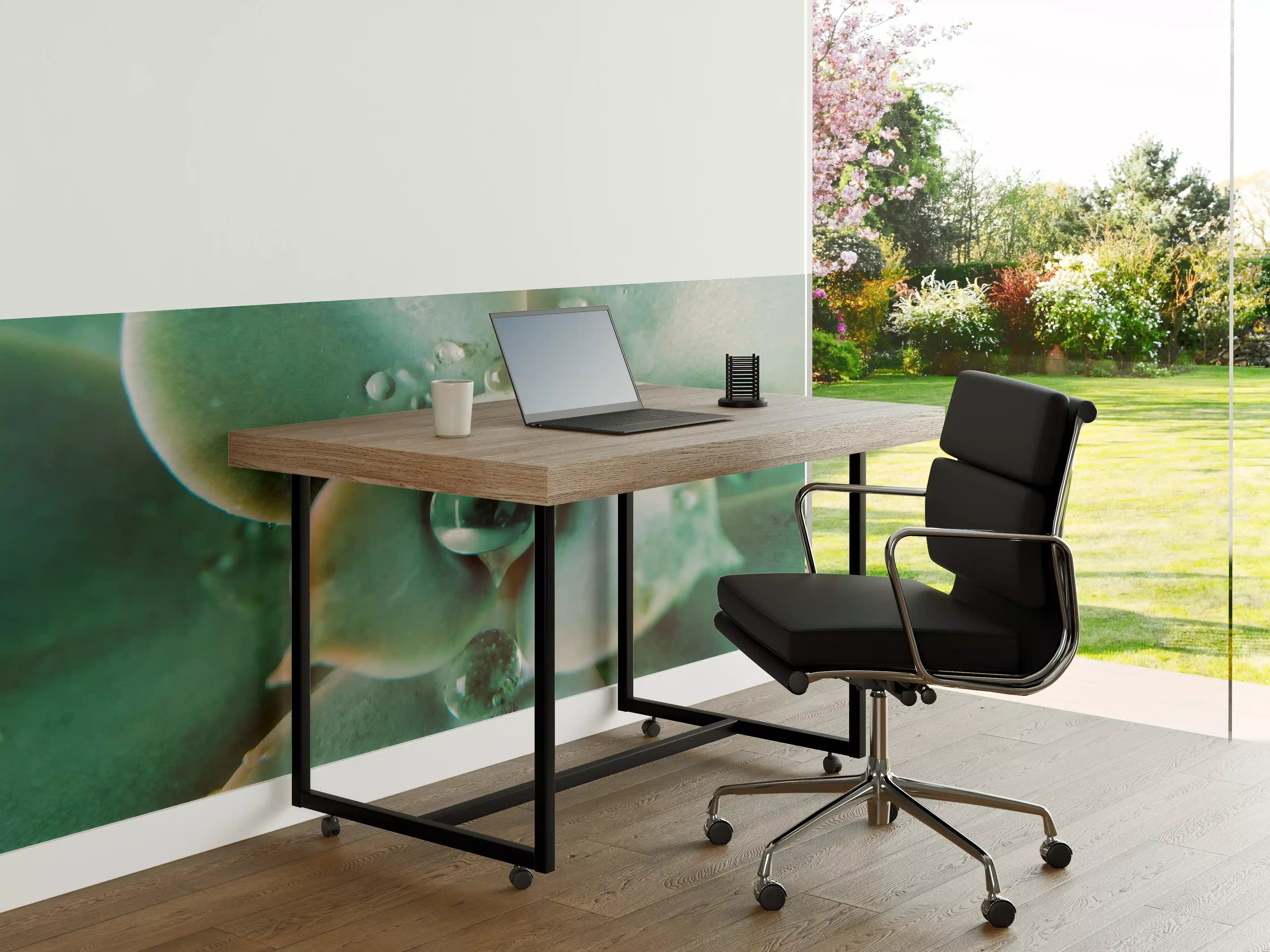 Büro Wandgestaltung - Wassertropfen - Sukkulente