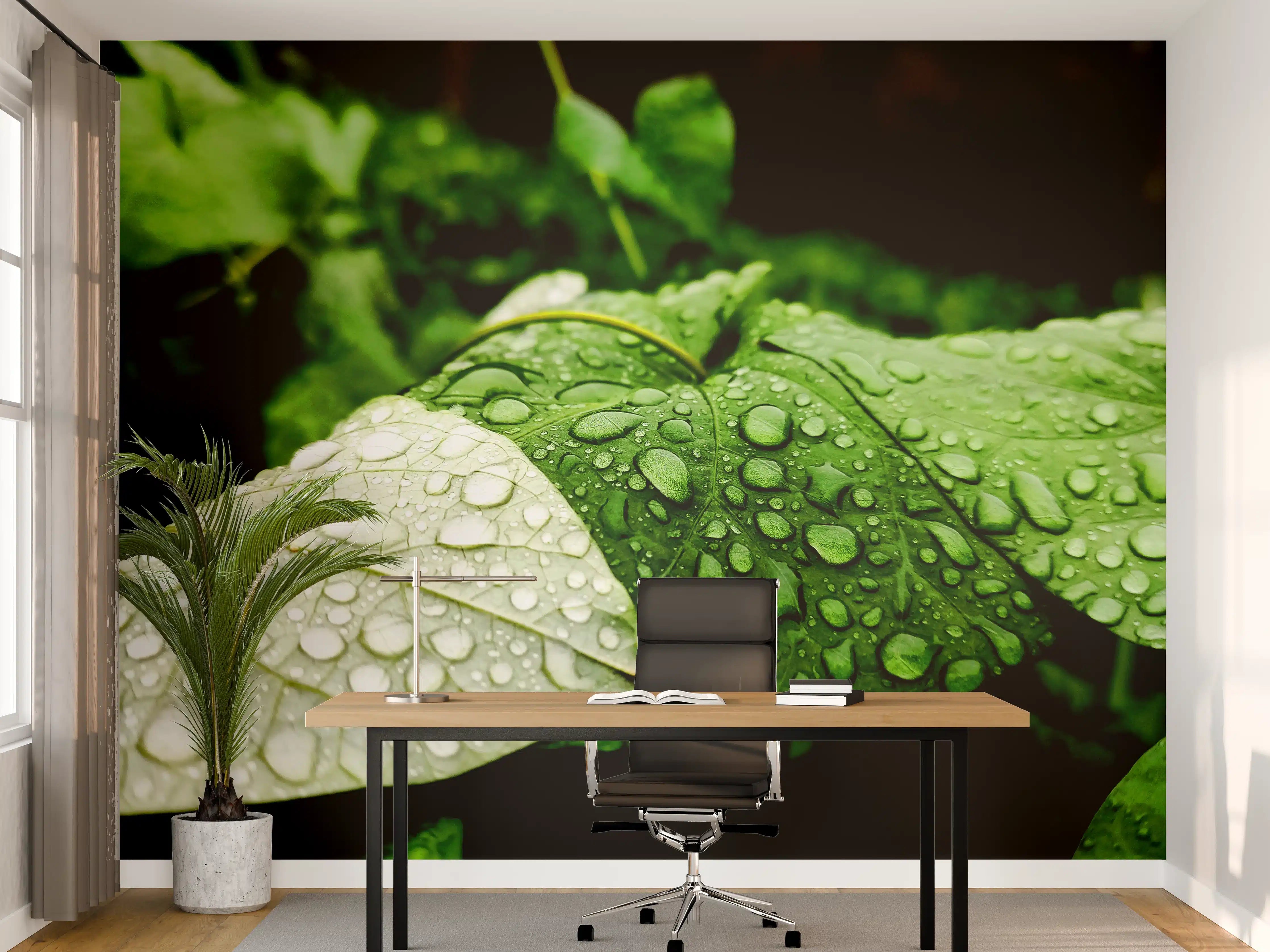 Büro Wandgestaltung - Wassertropfen auf einem Blatt