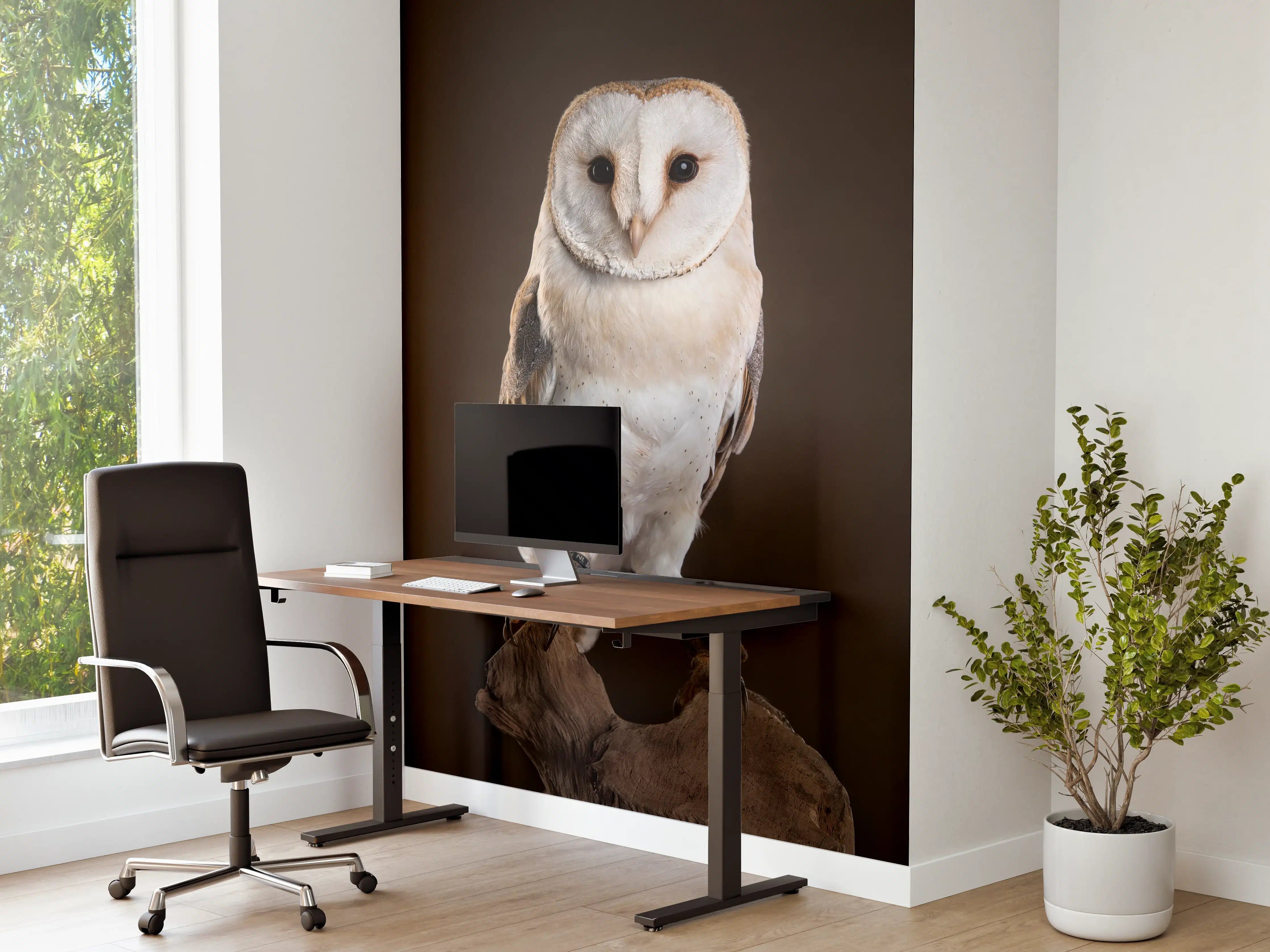 Büro Wandgestaltung - Weiß-Brauner Waldkauz auf Ast