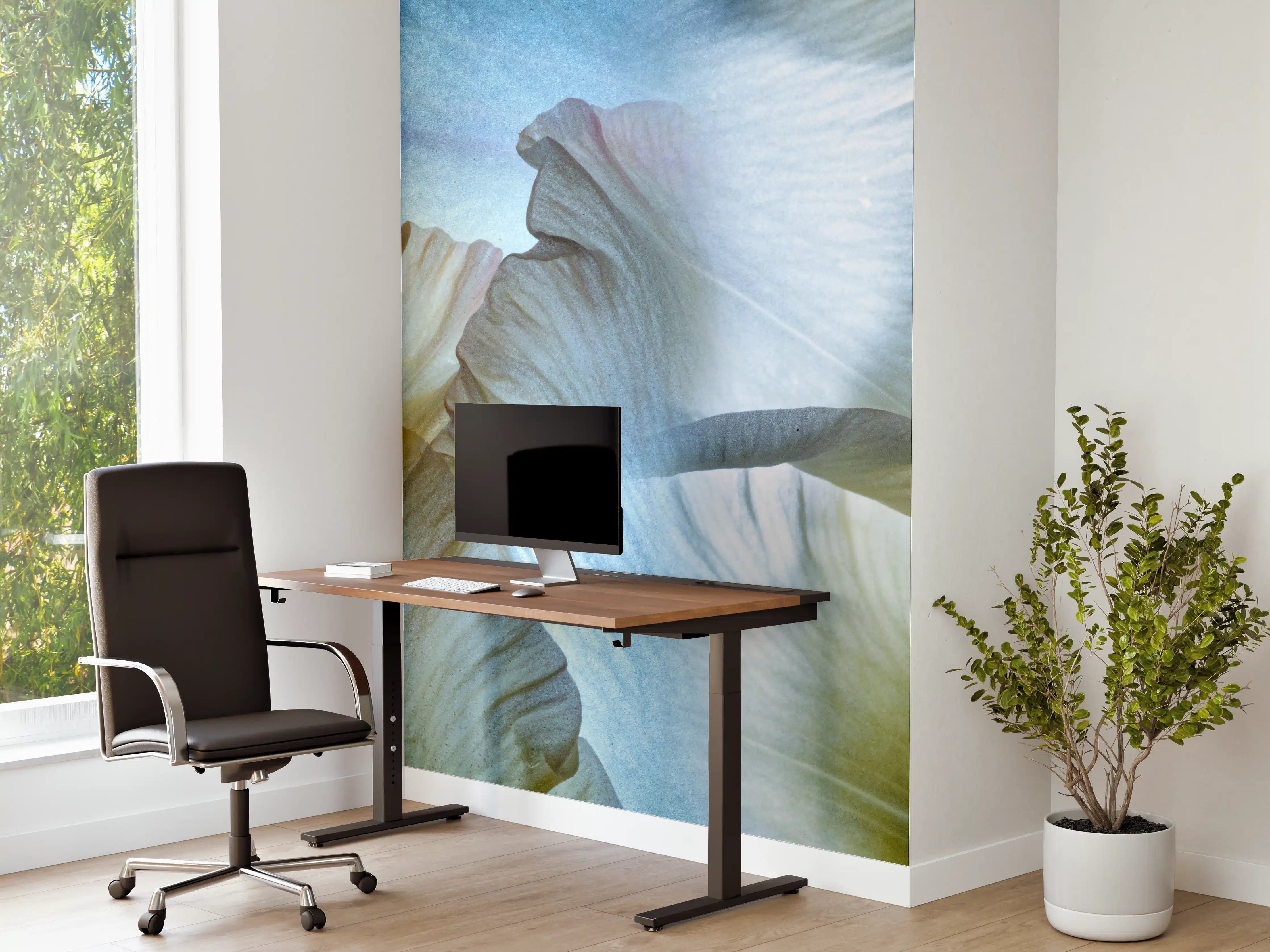 Büro Wandgestaltung - Weiße Blüten Petal Texture