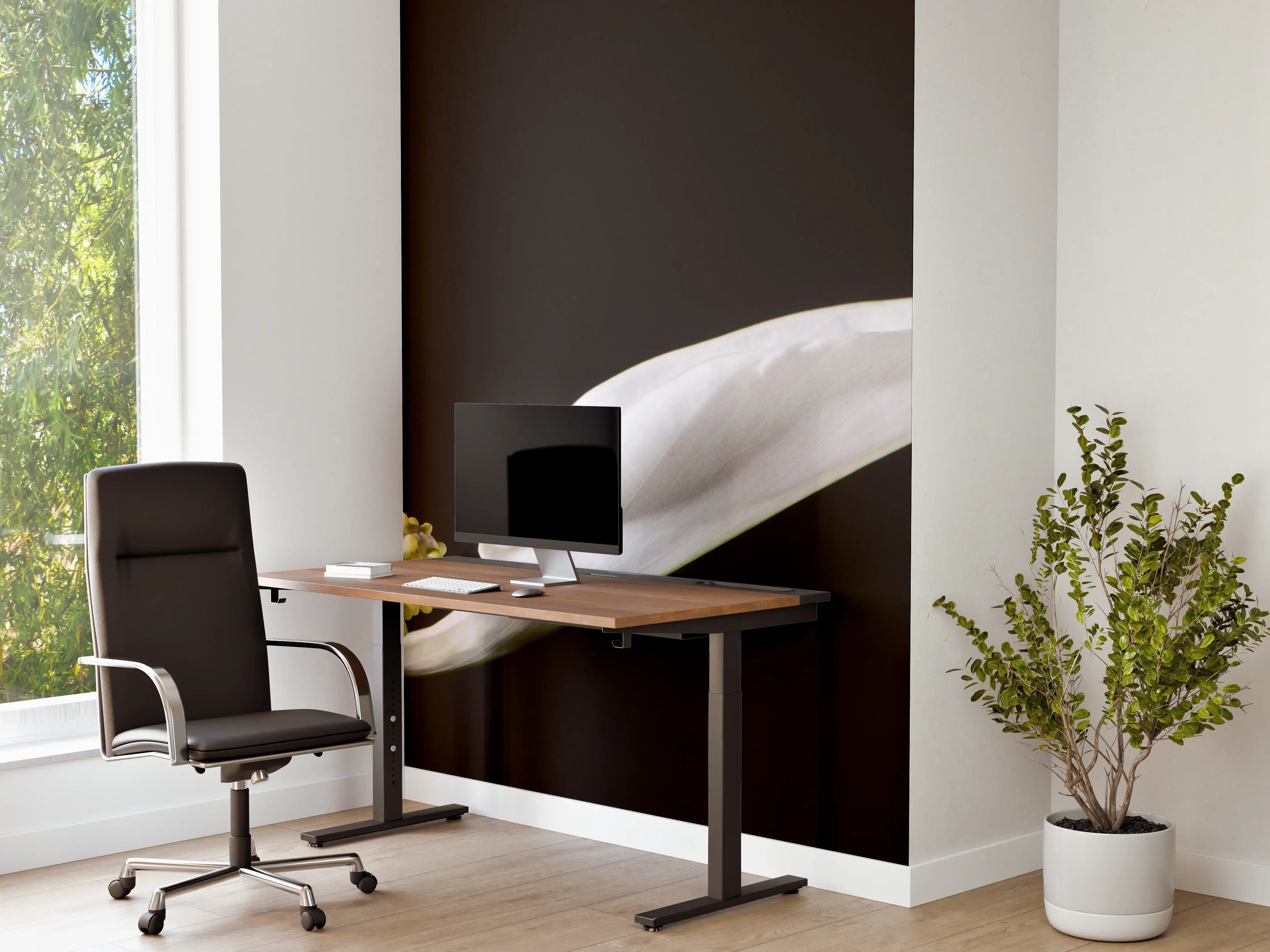 Büro Wandgestaltung - Weiße Blume auf schwarzem Hintergrund