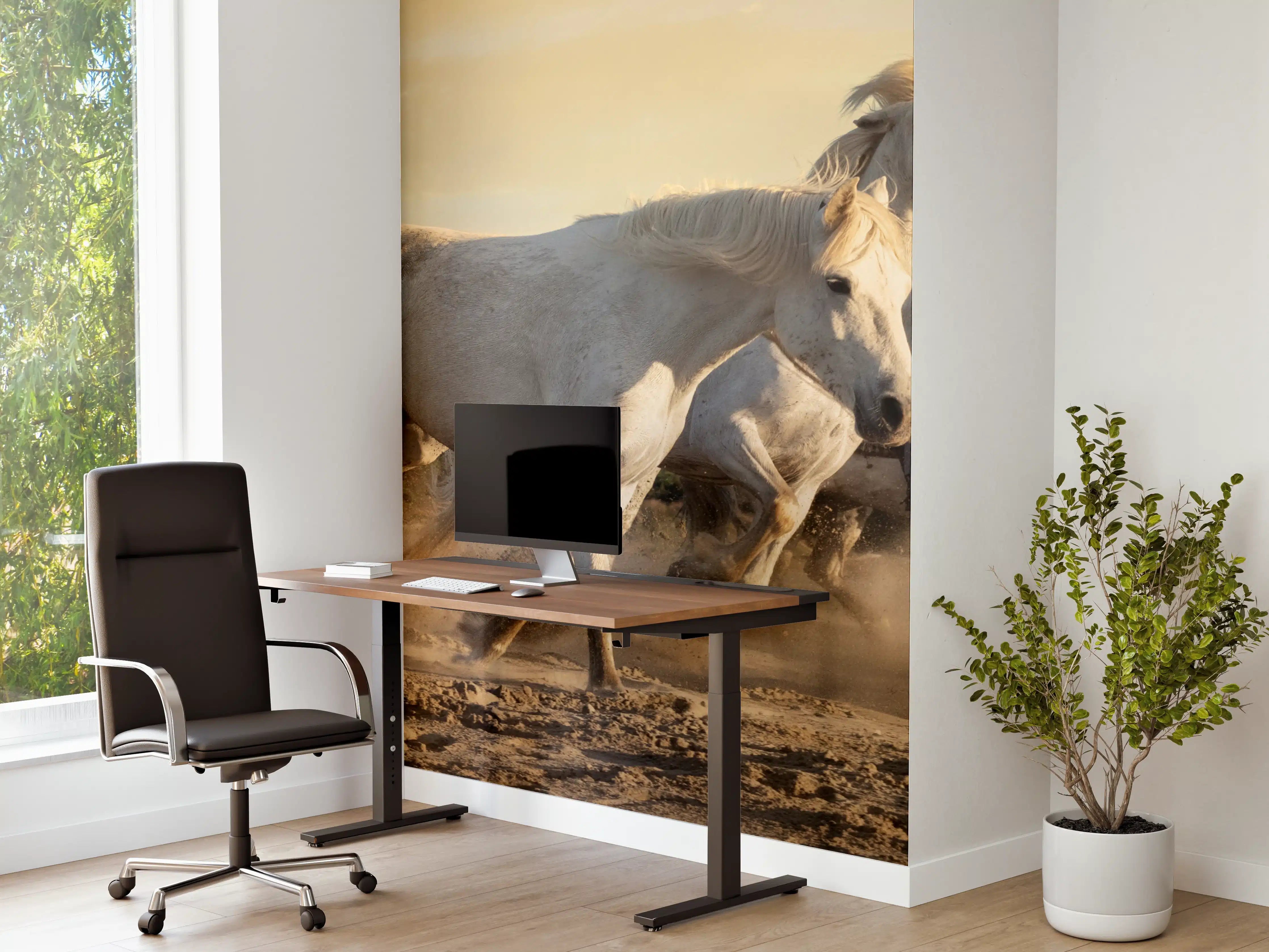 Büro Wandgestaltung - Weiße Galopper bei Sonnenuntergang