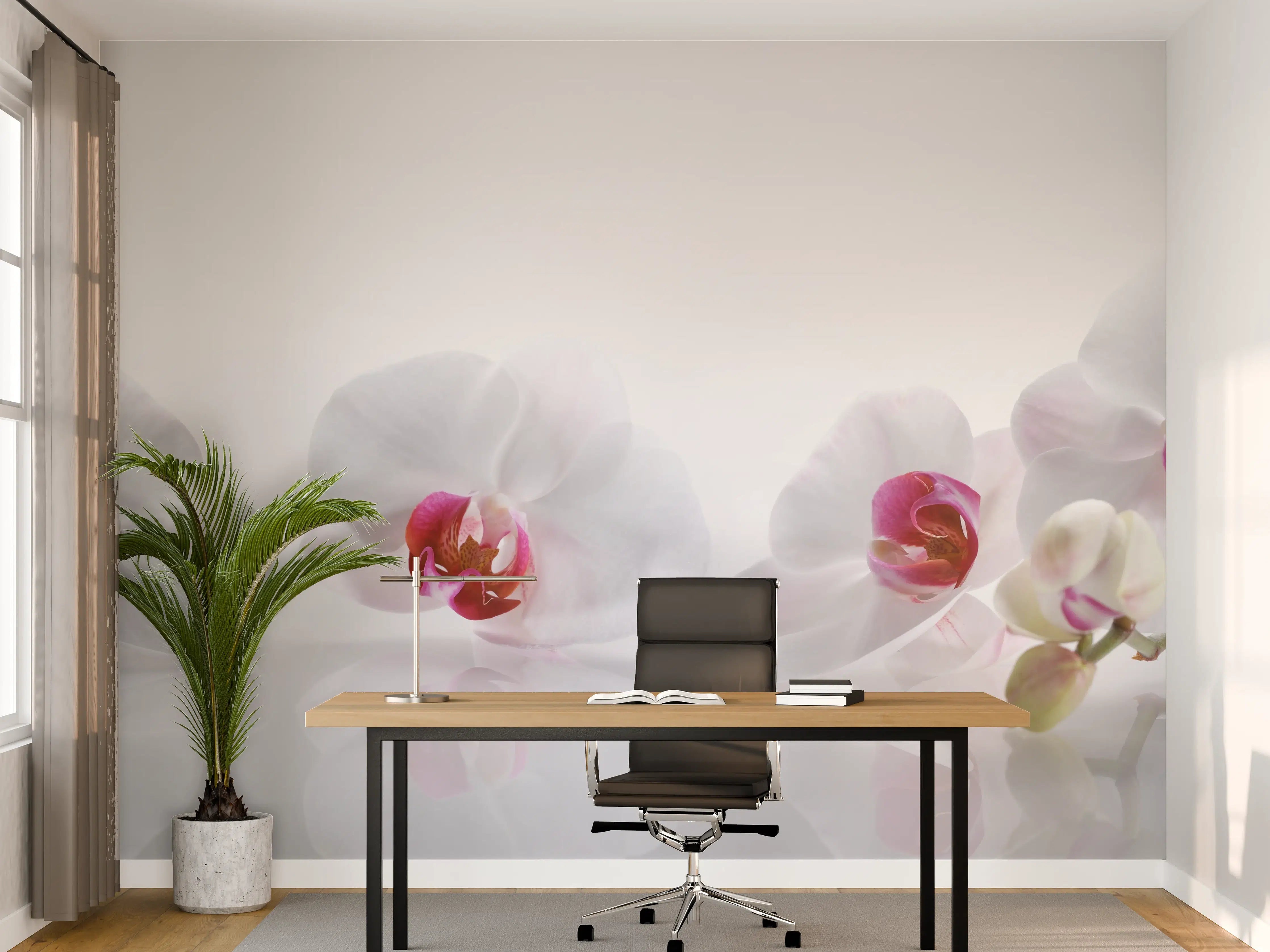 Büro Wandgestaltung - Weiße Orchideen