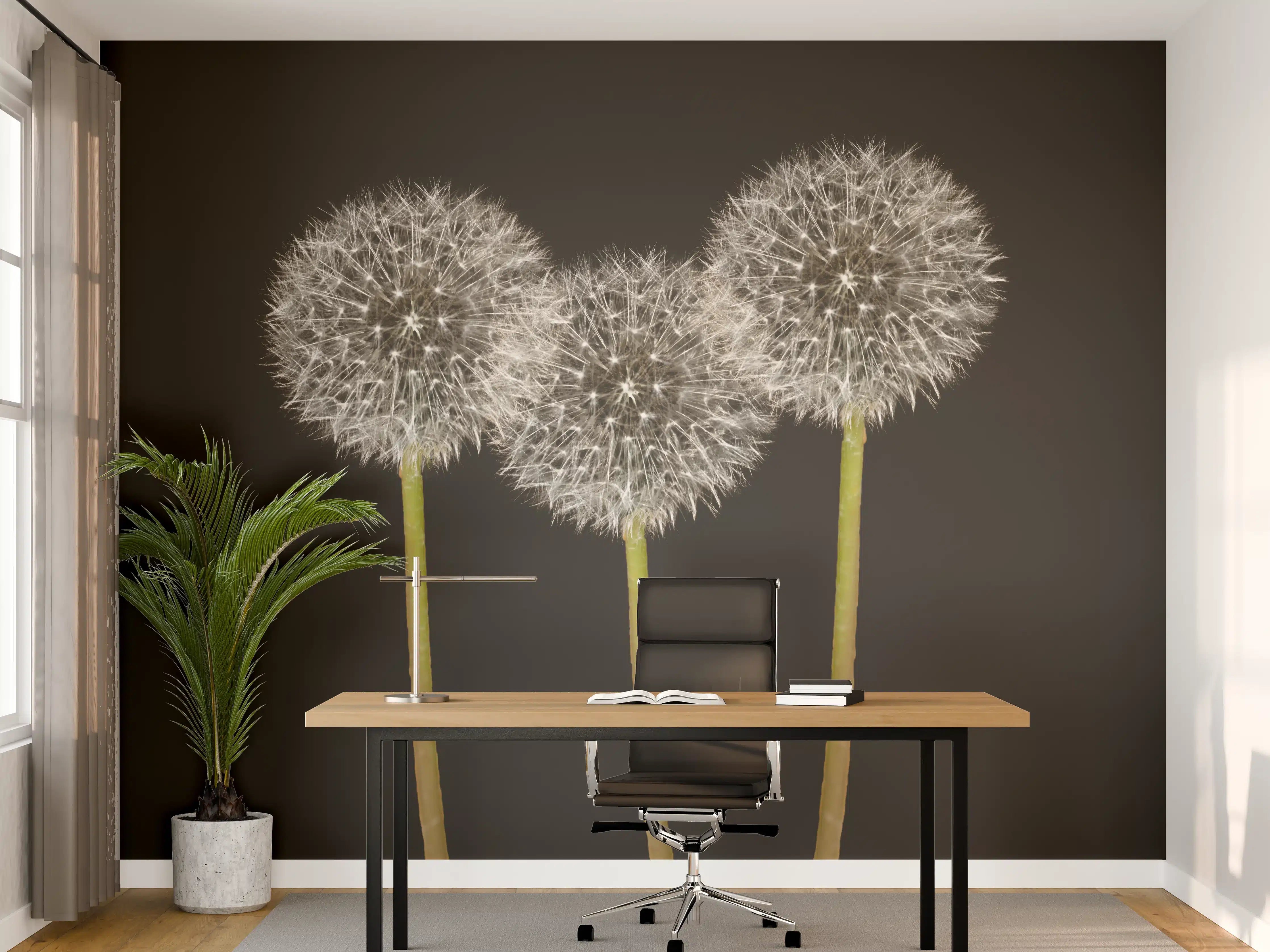 Büro Wandgestaltung - Weiße Pusteblumen auf Schwarz