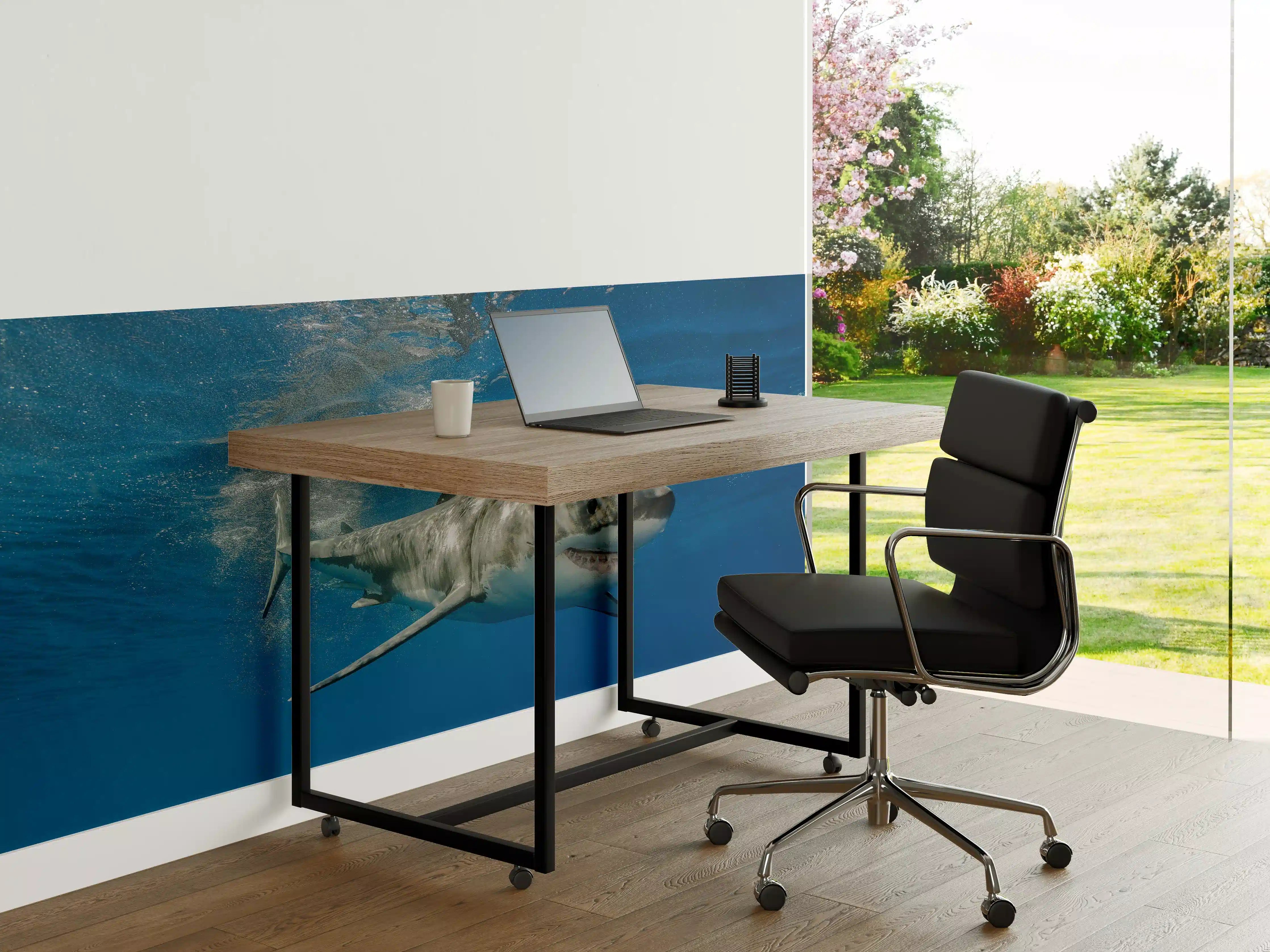 Büro Wandgestaltung - Weißer Hai in Unterwasseransicht