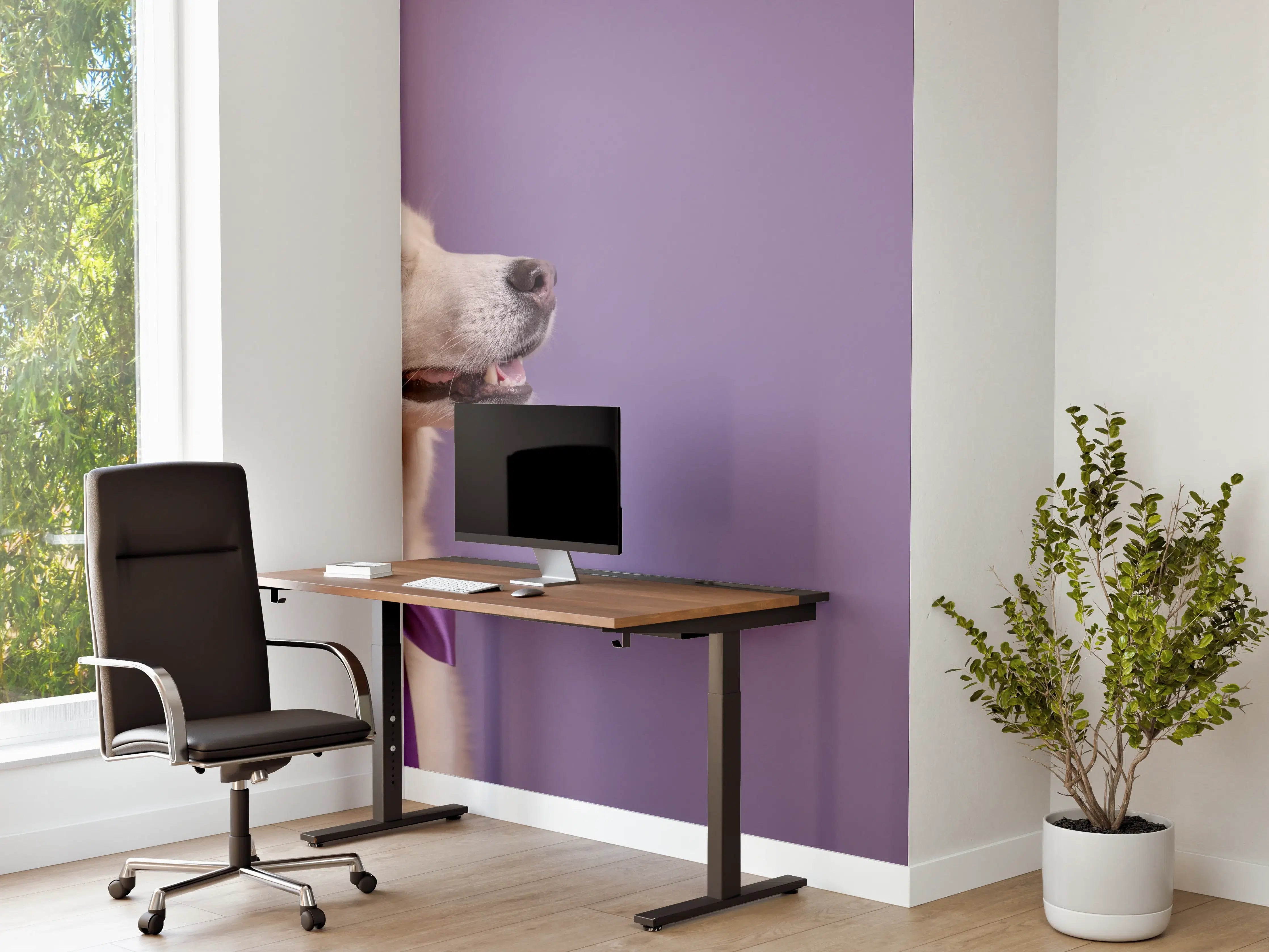 Büro Wandgestaltung - Weißer sibirischer Husky Hund mit violetter Fliege