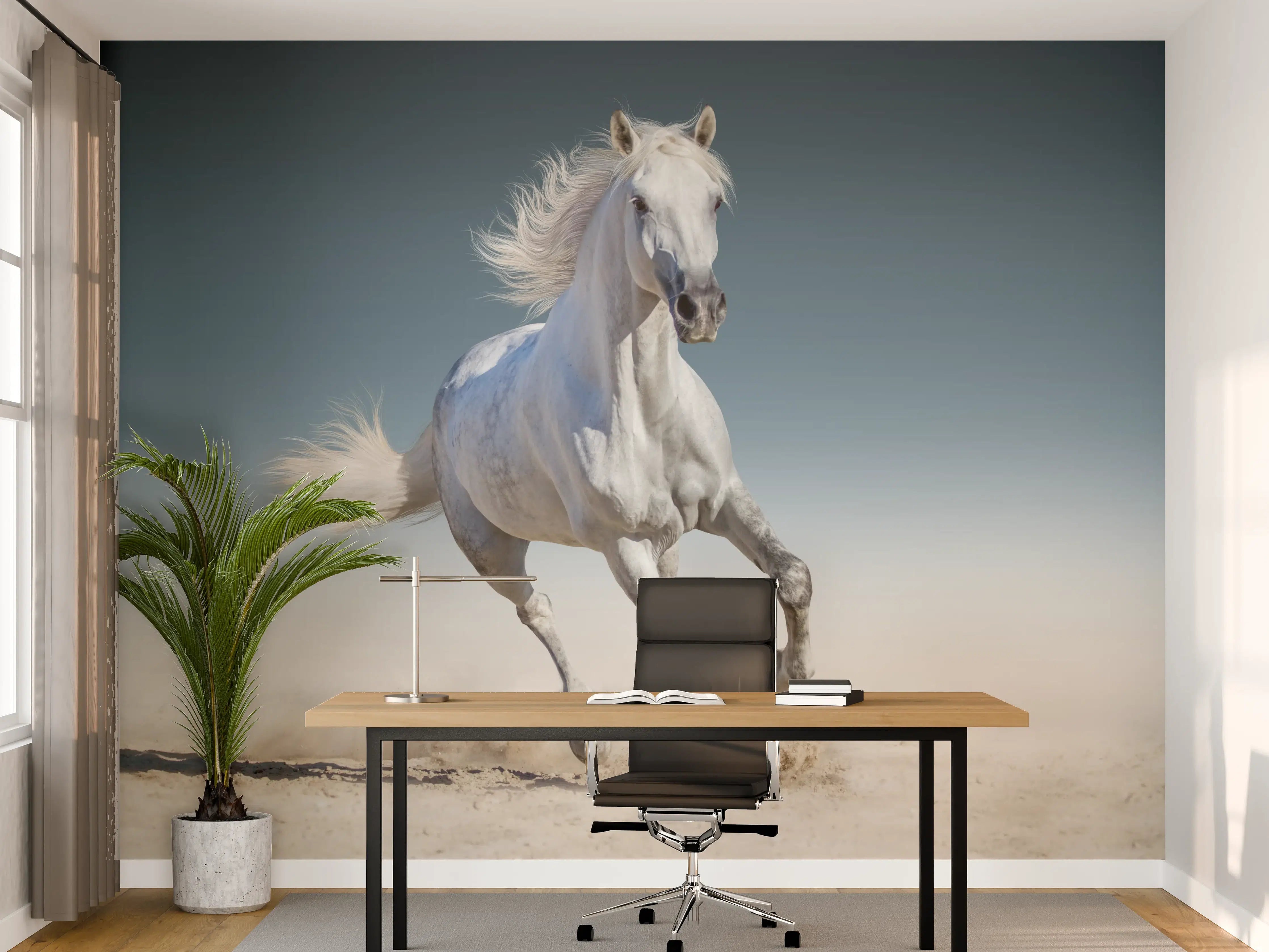 Büro Wandgestaltung - Weißes Pferd galoppiert auf Sand