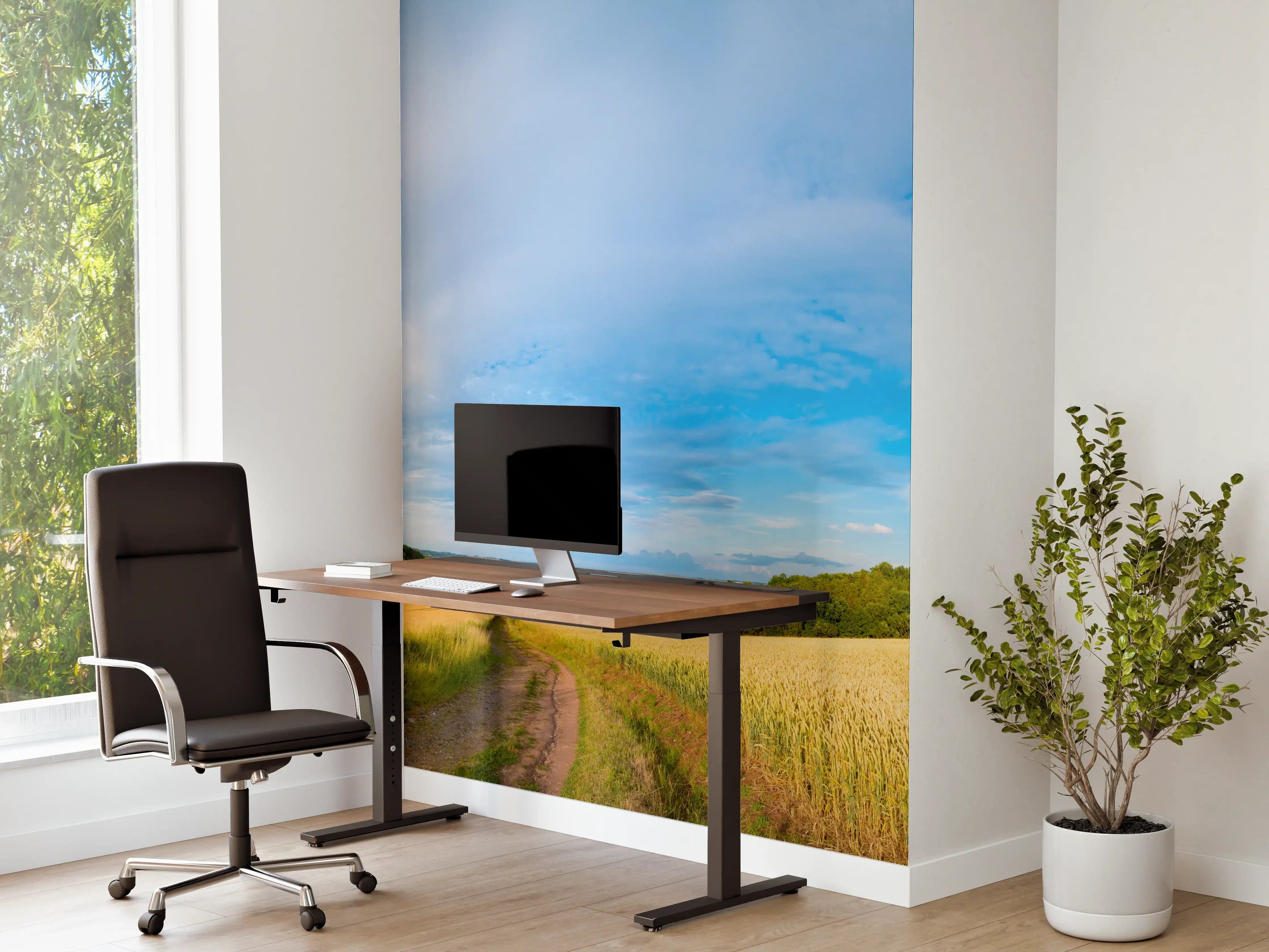 Büro Wandgestaltung - Weizenfeldes am Morgen - Kansas