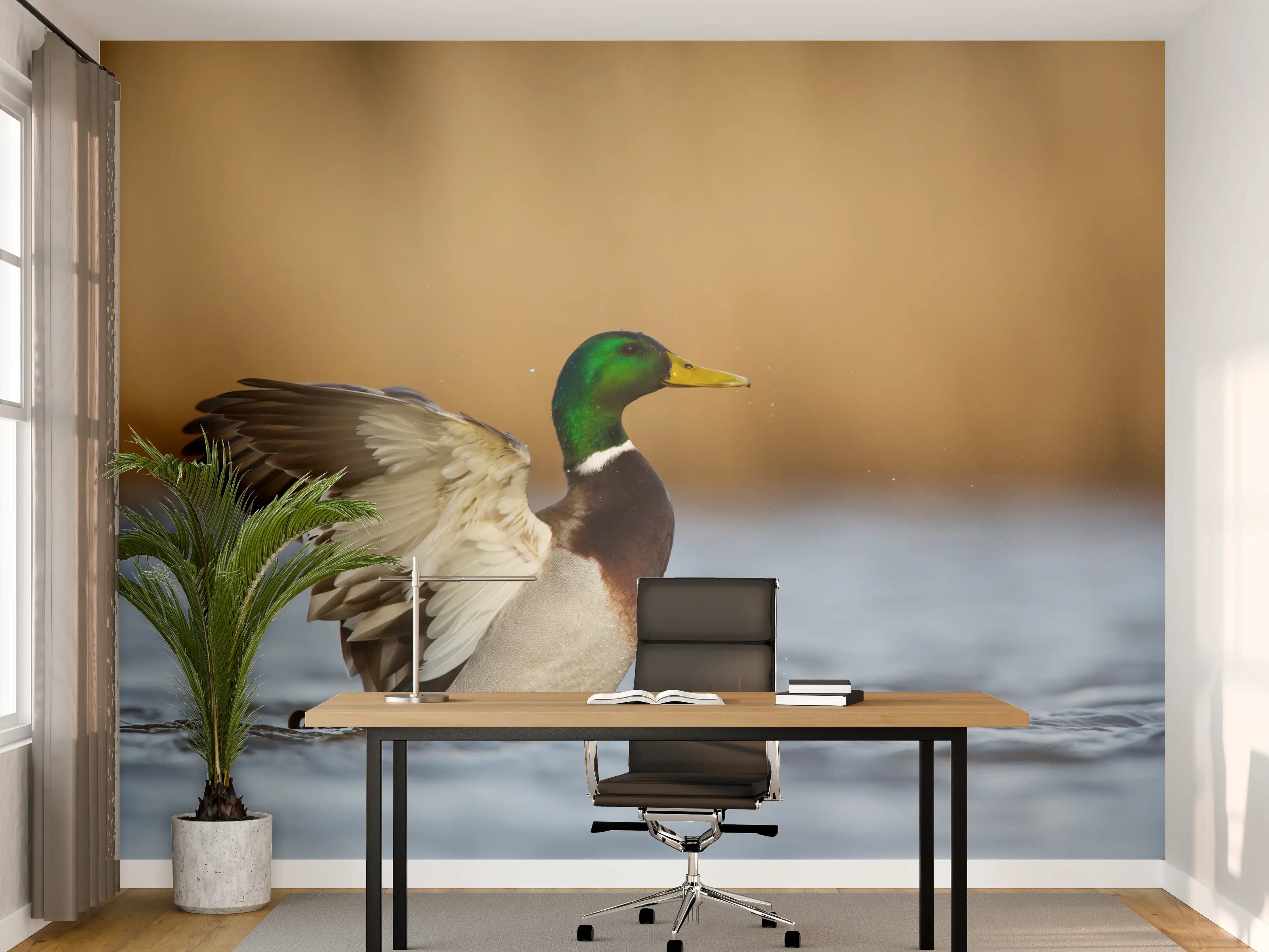 Büro Wandgestaltung - Wildente auf dem Wasser