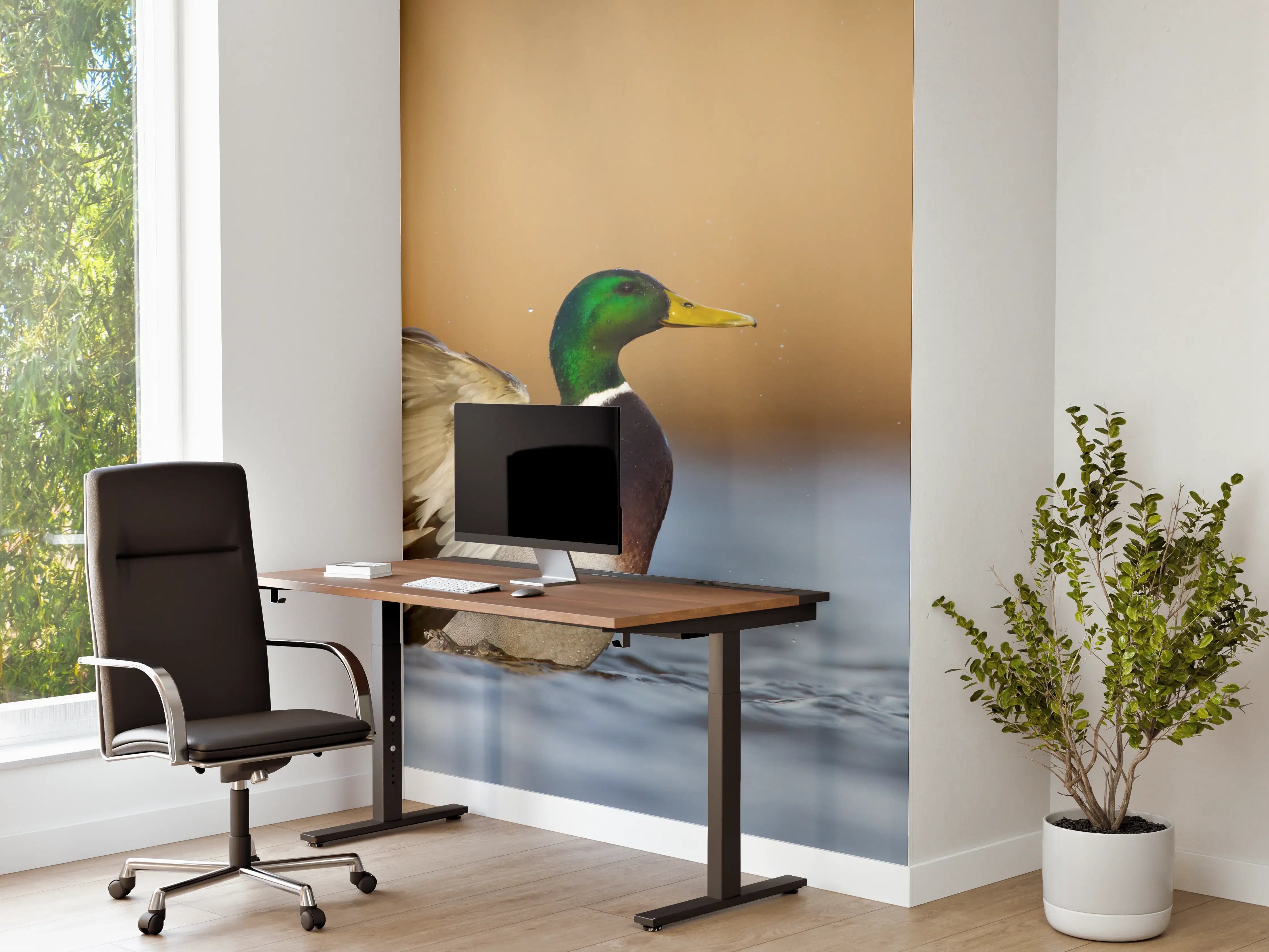 Büro Wandgestaltung - Wildente auf dem Wasser