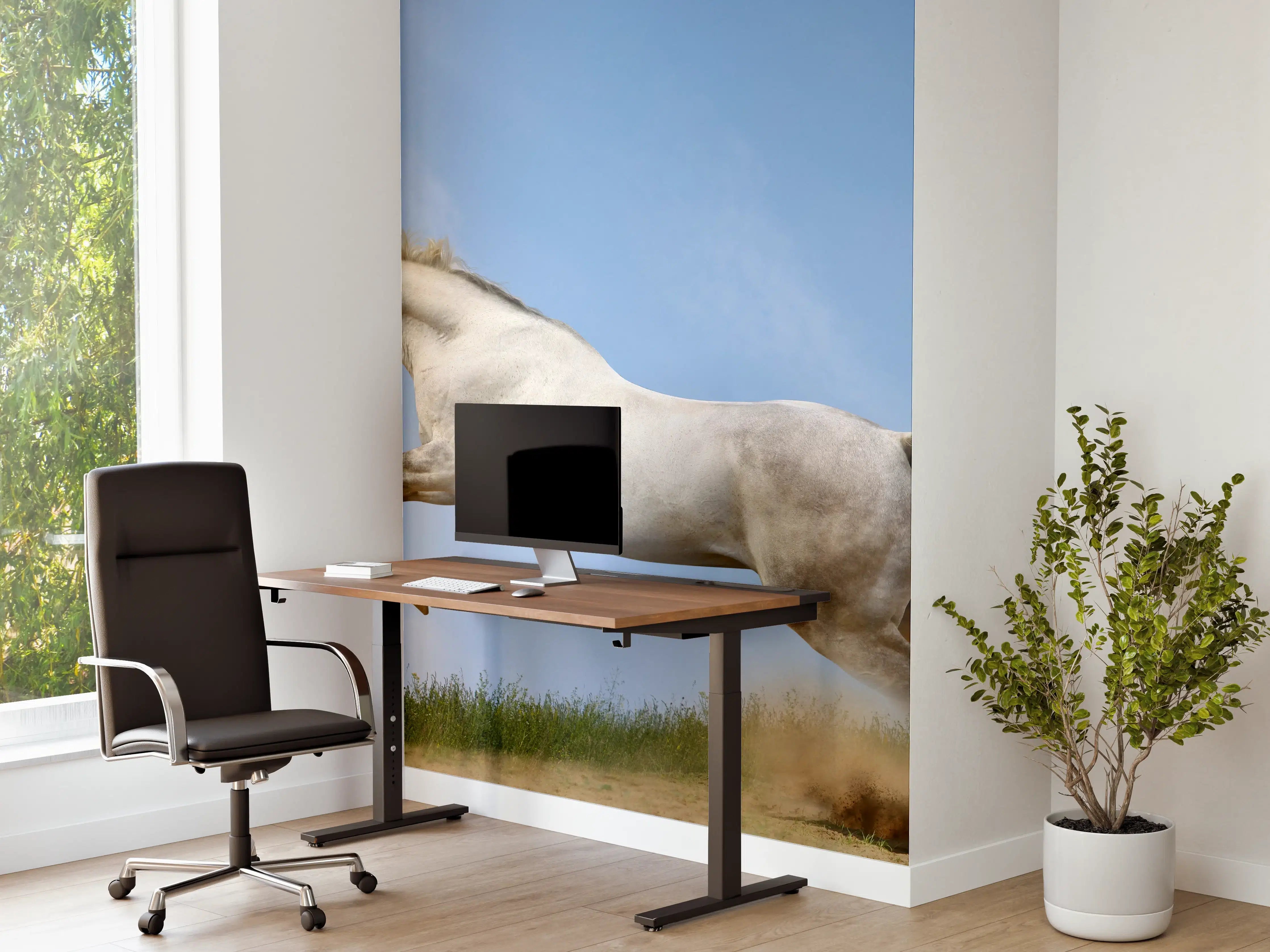 Büro Wandgestaltung - Wilder Araber-Hengst 