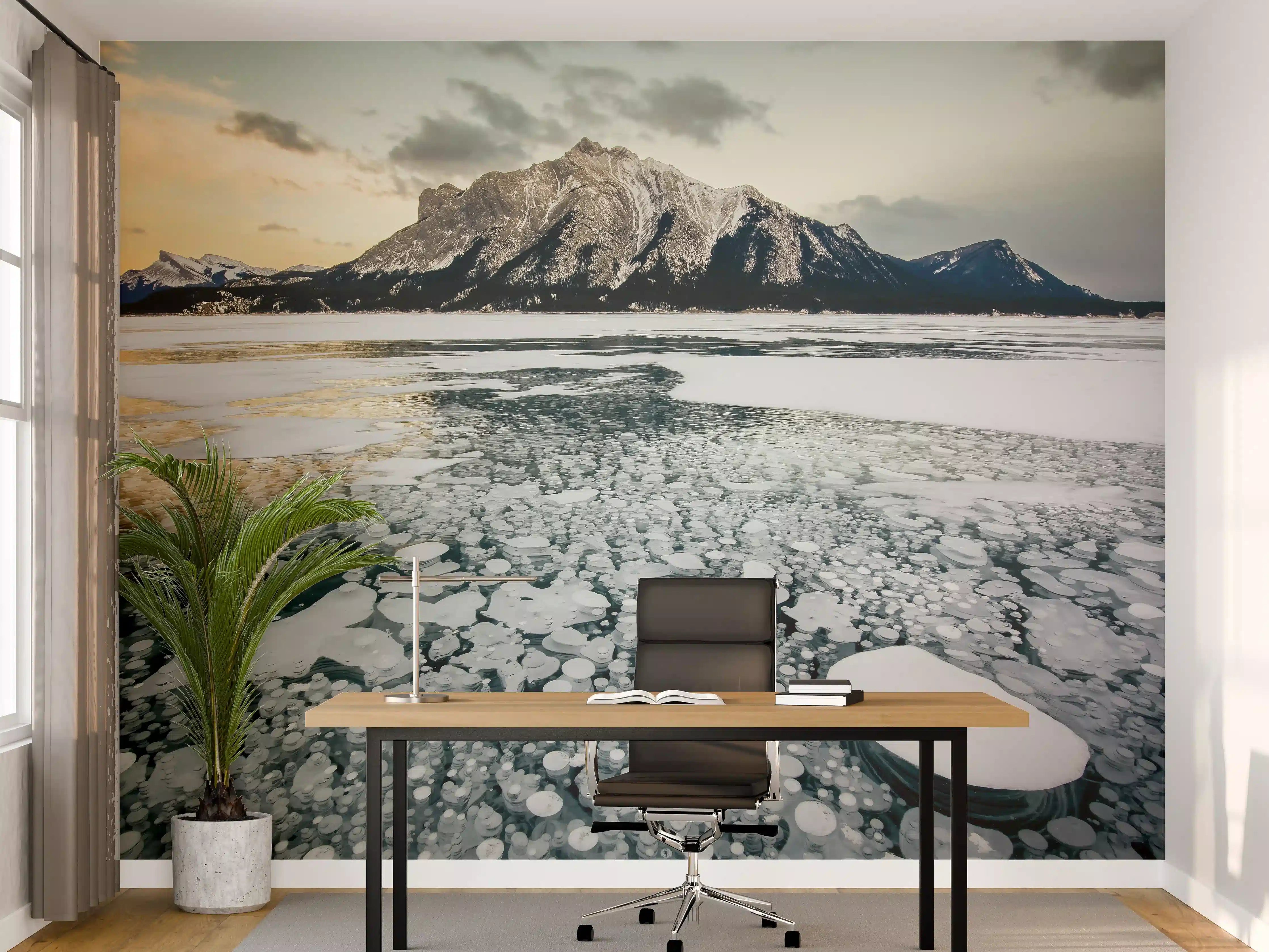 Büro Wandgestaltung - Winterlicher See mit Eisblasen