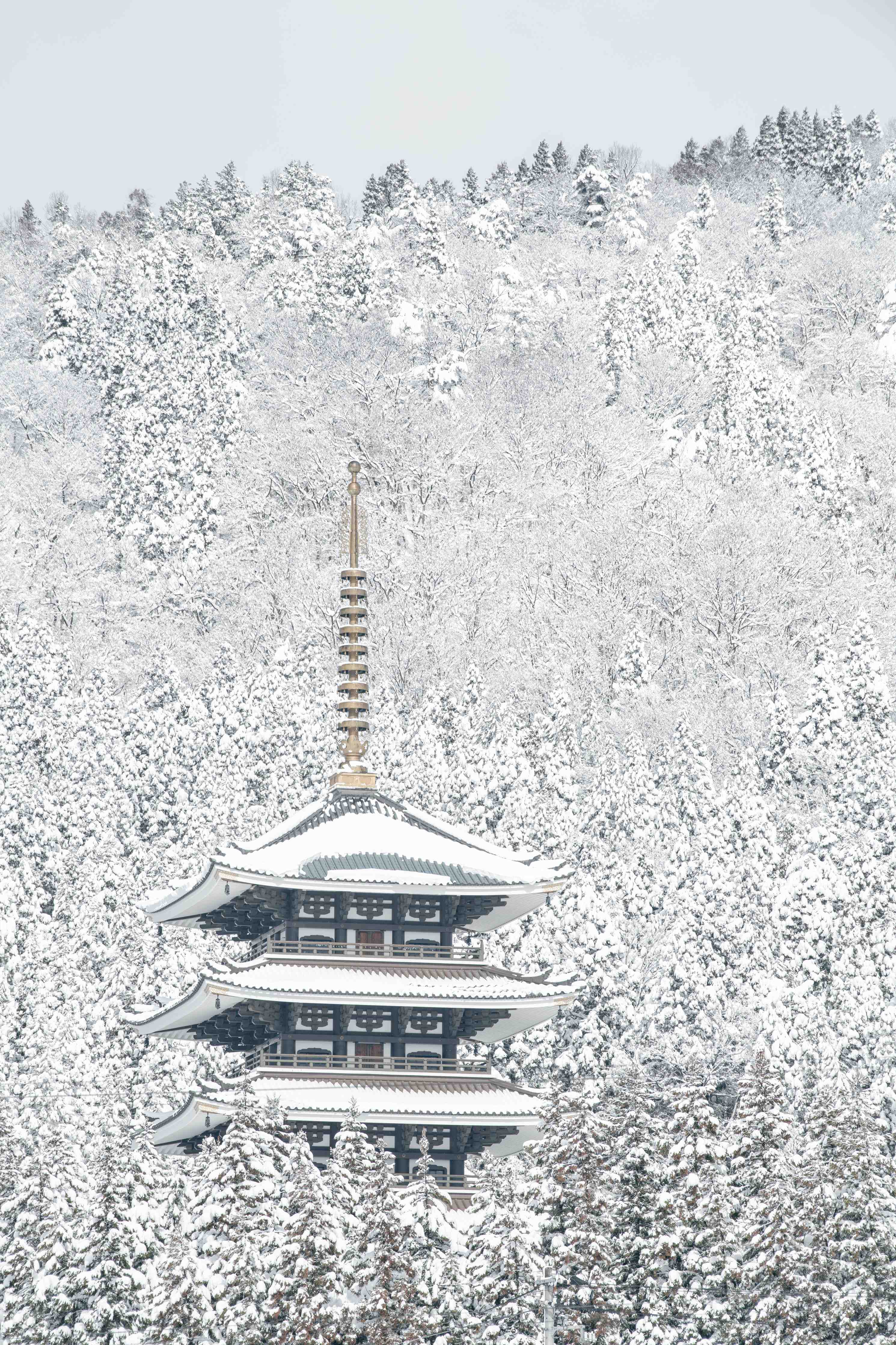 Büro Wandgestaltung-Winterlicher Turm - Buddismus