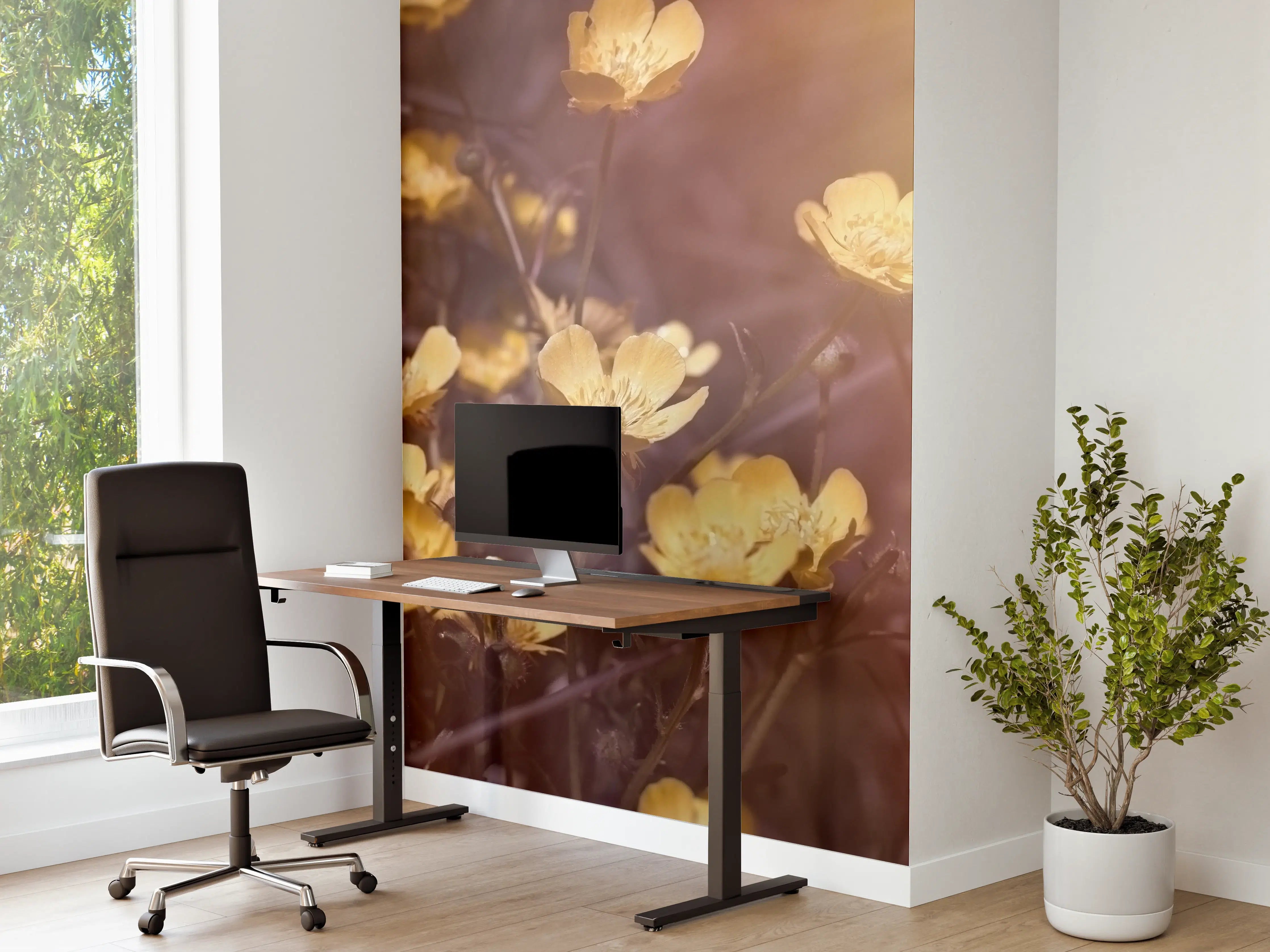 Büro Wandgestaltung - Winterlinge auf einer Wiese bei Sonne