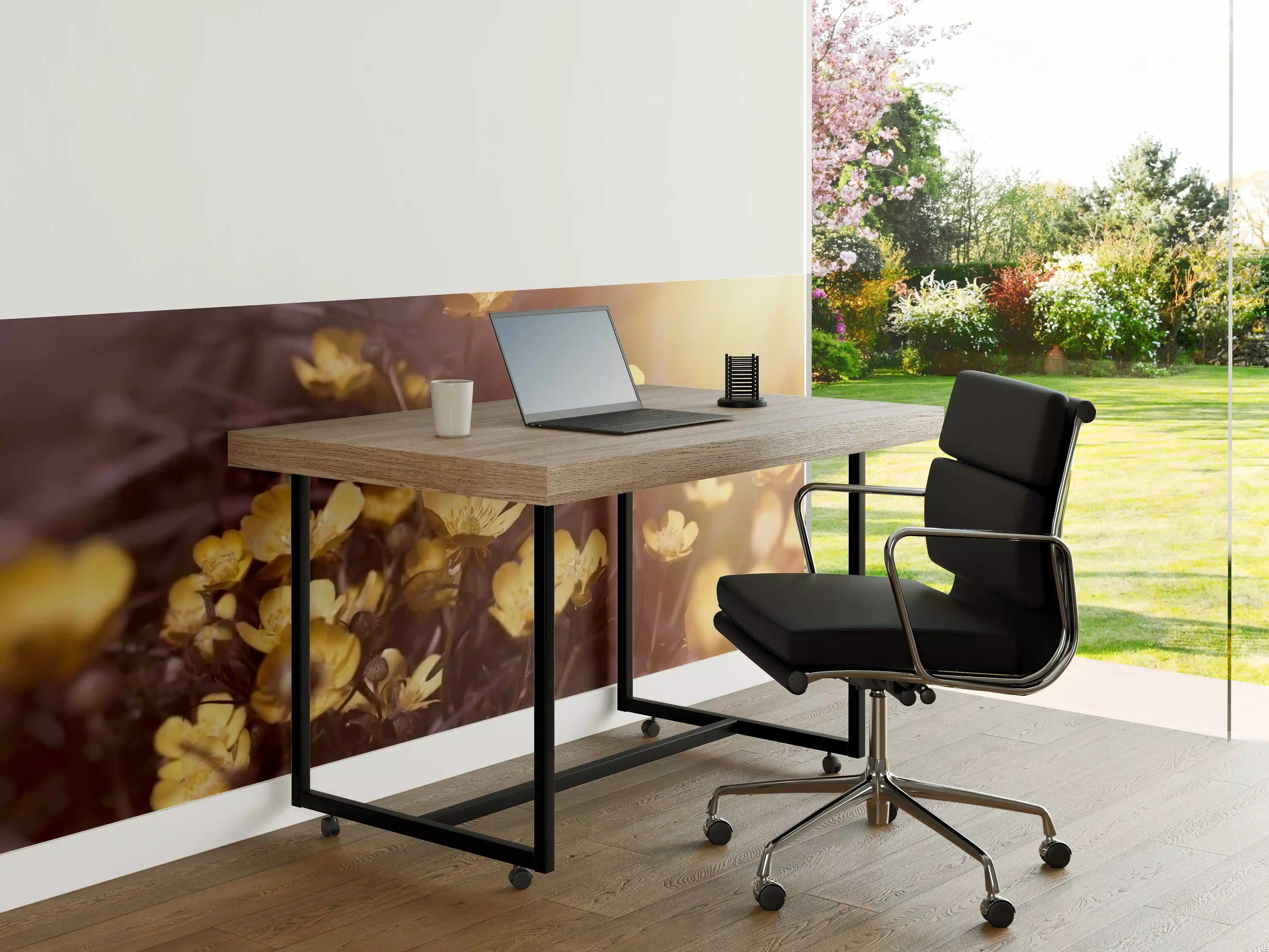 Büro Wandgestaltung - Winterlinge auf einer Wiese bei Sonne