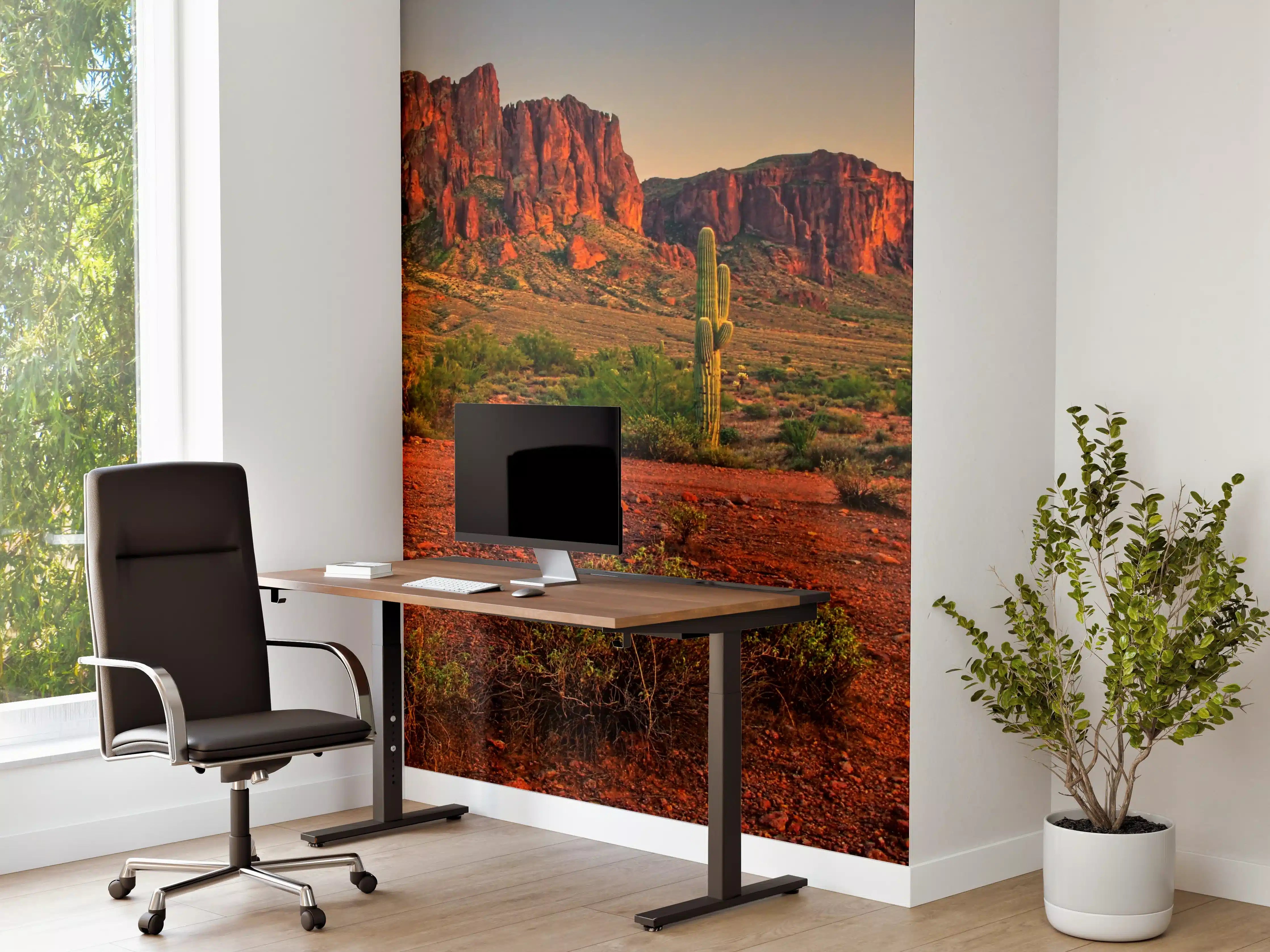 Büro Wandgestaltung - Wüstenlandschaft bei Sonnenuntergang mit Kakteen