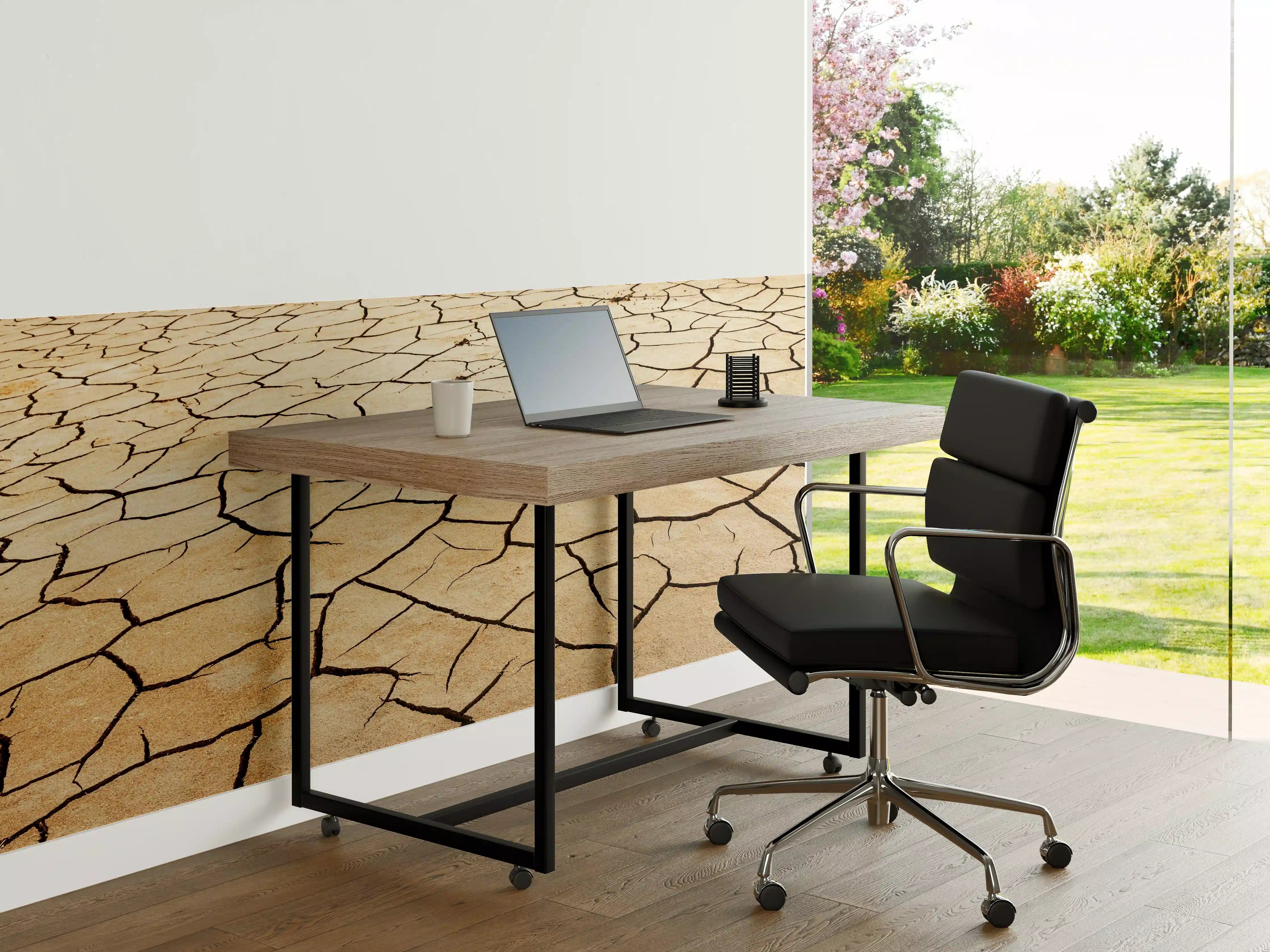 Büro Wandgestaltung - Wüstenlandschaft mit trockener Erde