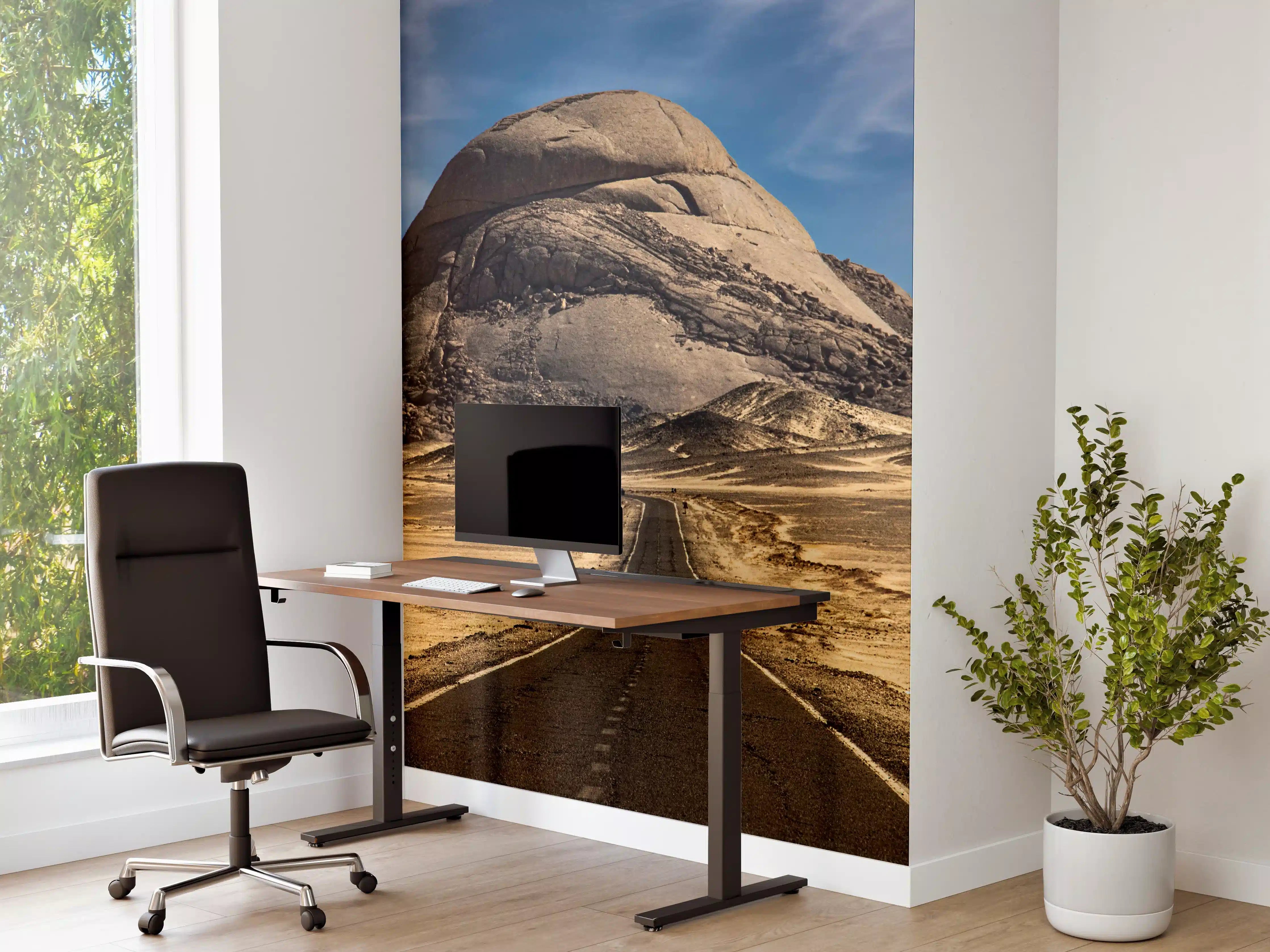 Büro Wandgestaltung - Wüstenweg zum Felsmassiv