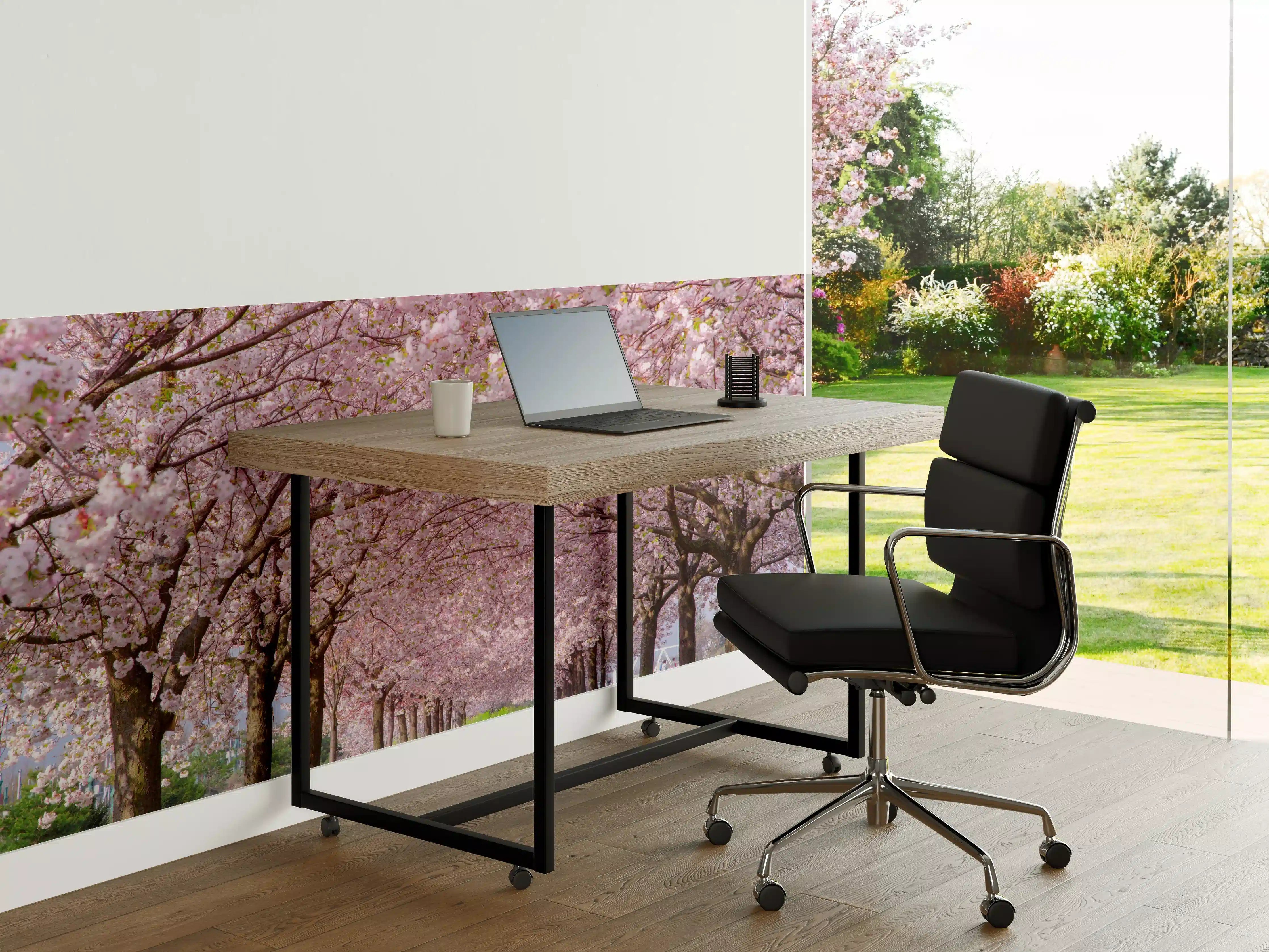 Büro Wandgestaltung - Wunderschöne Kirschbaumallee