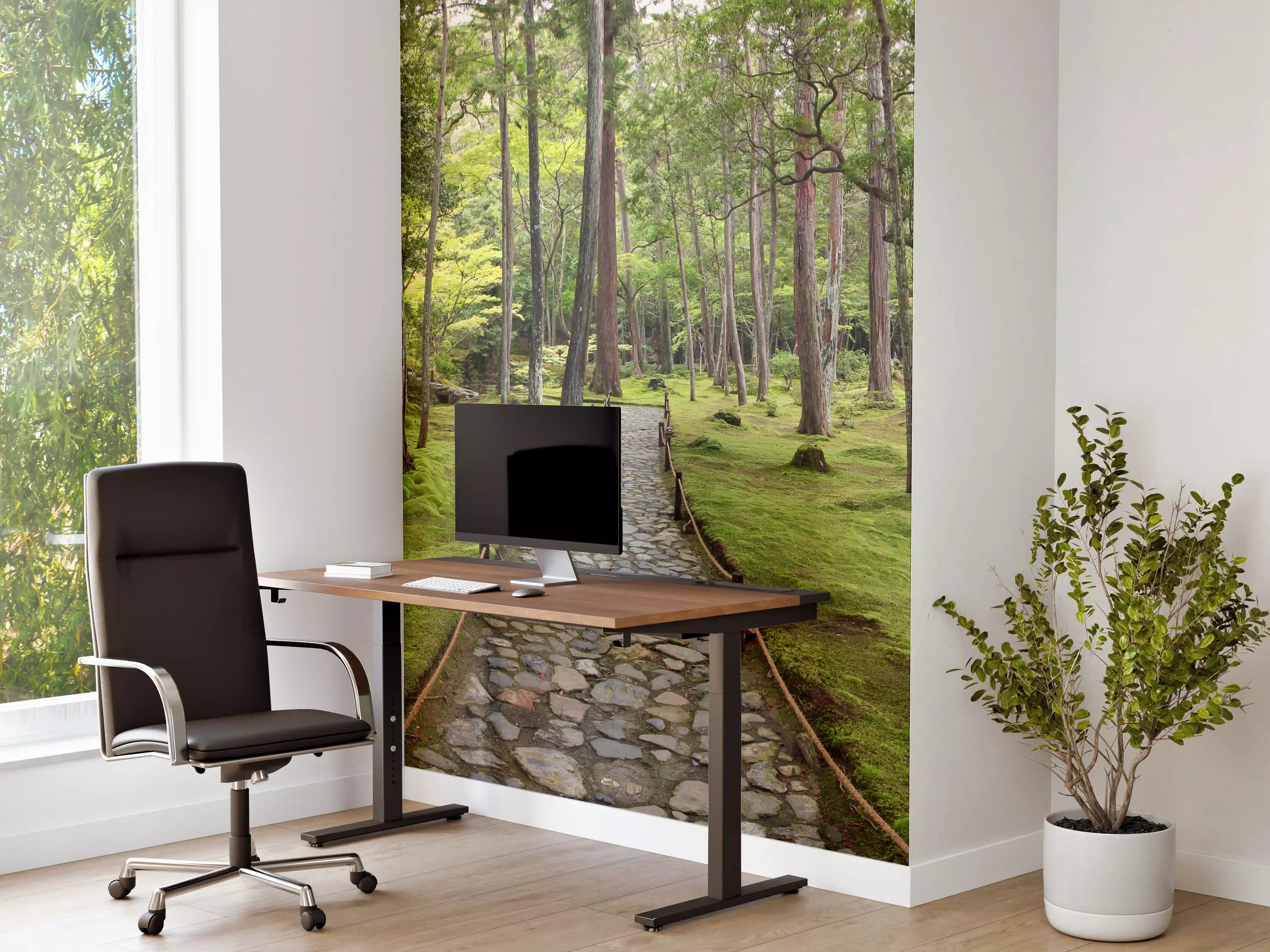 Büro Wandgestaltung - Wunderschöner Moosgarten in Kyoto
