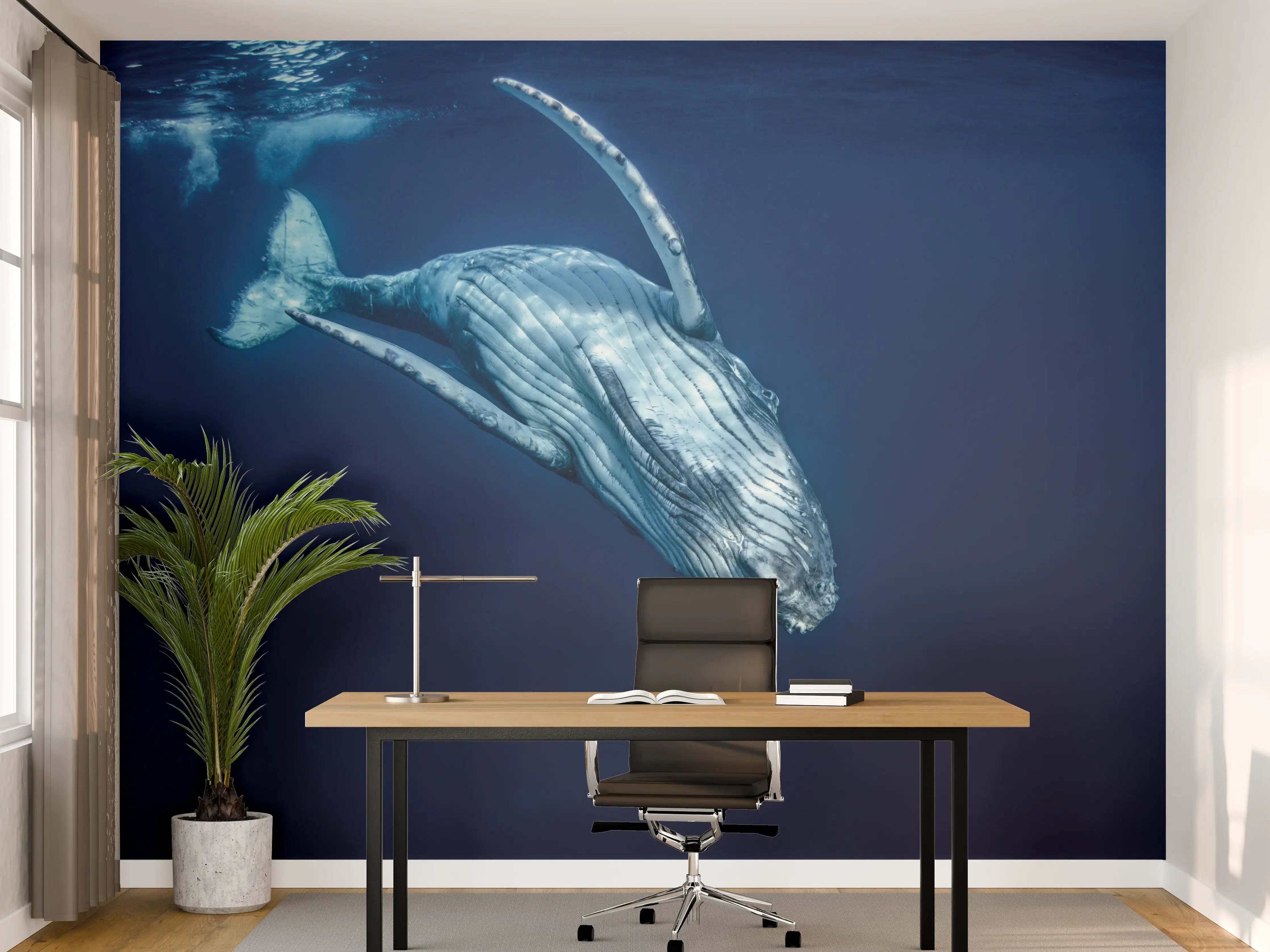 Büro Wandgestaltung - Wunderschönes Buckelwalbaby