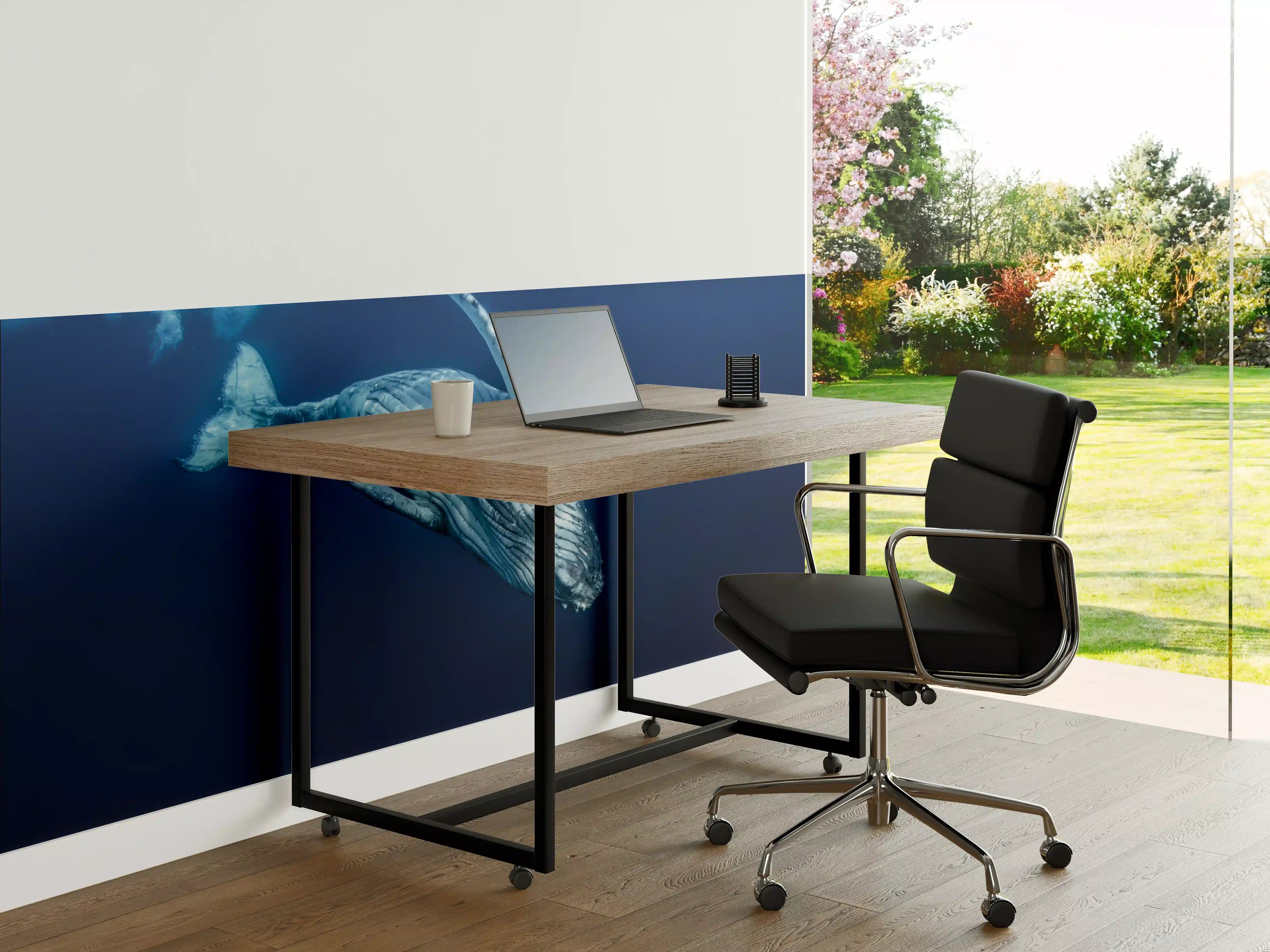 Büro Wandgestaltung - Wunderschönes Buckelwalbaby