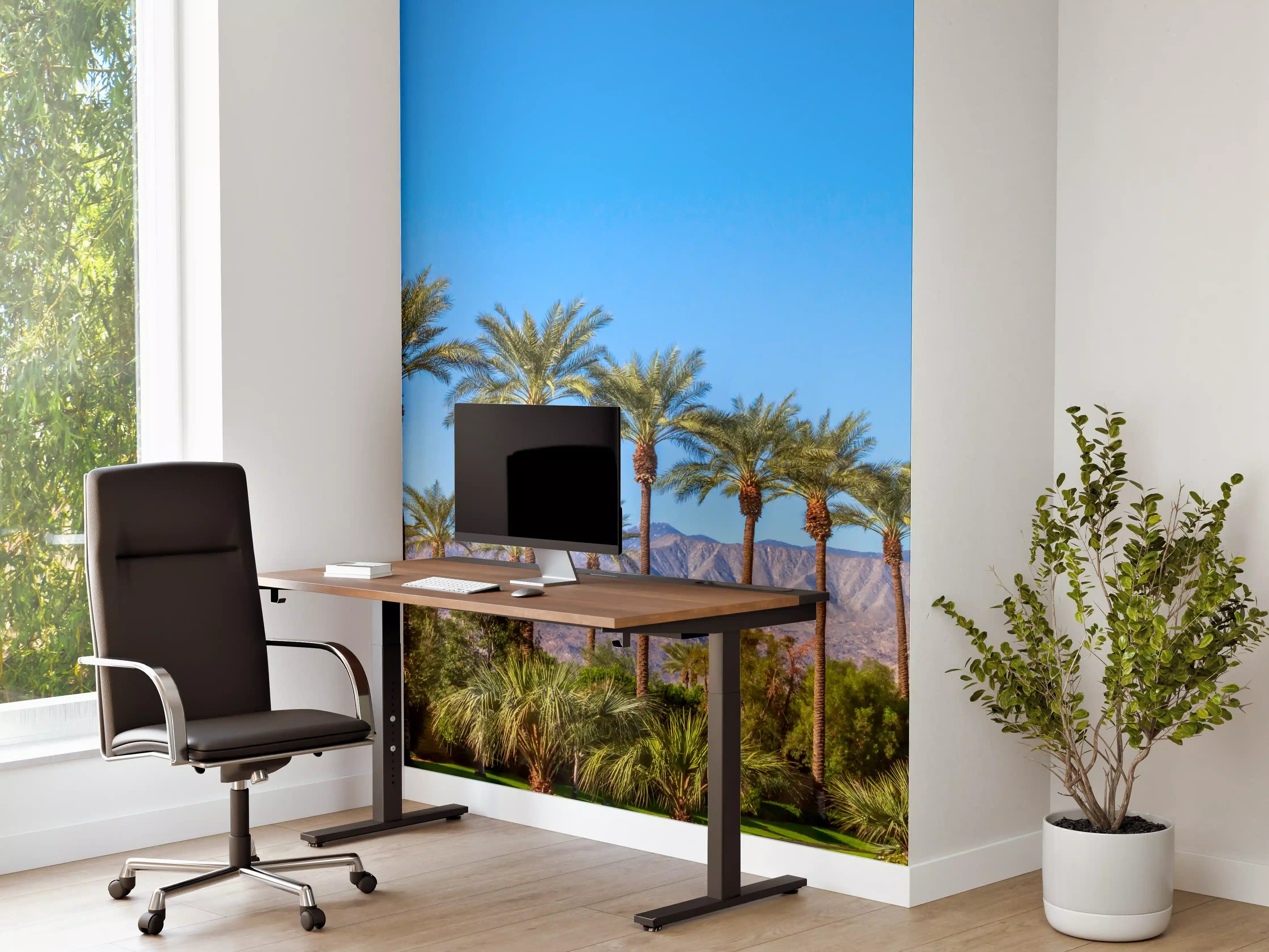Büro Wandgestaltung - Wundervolle Palmen in Kalifornien