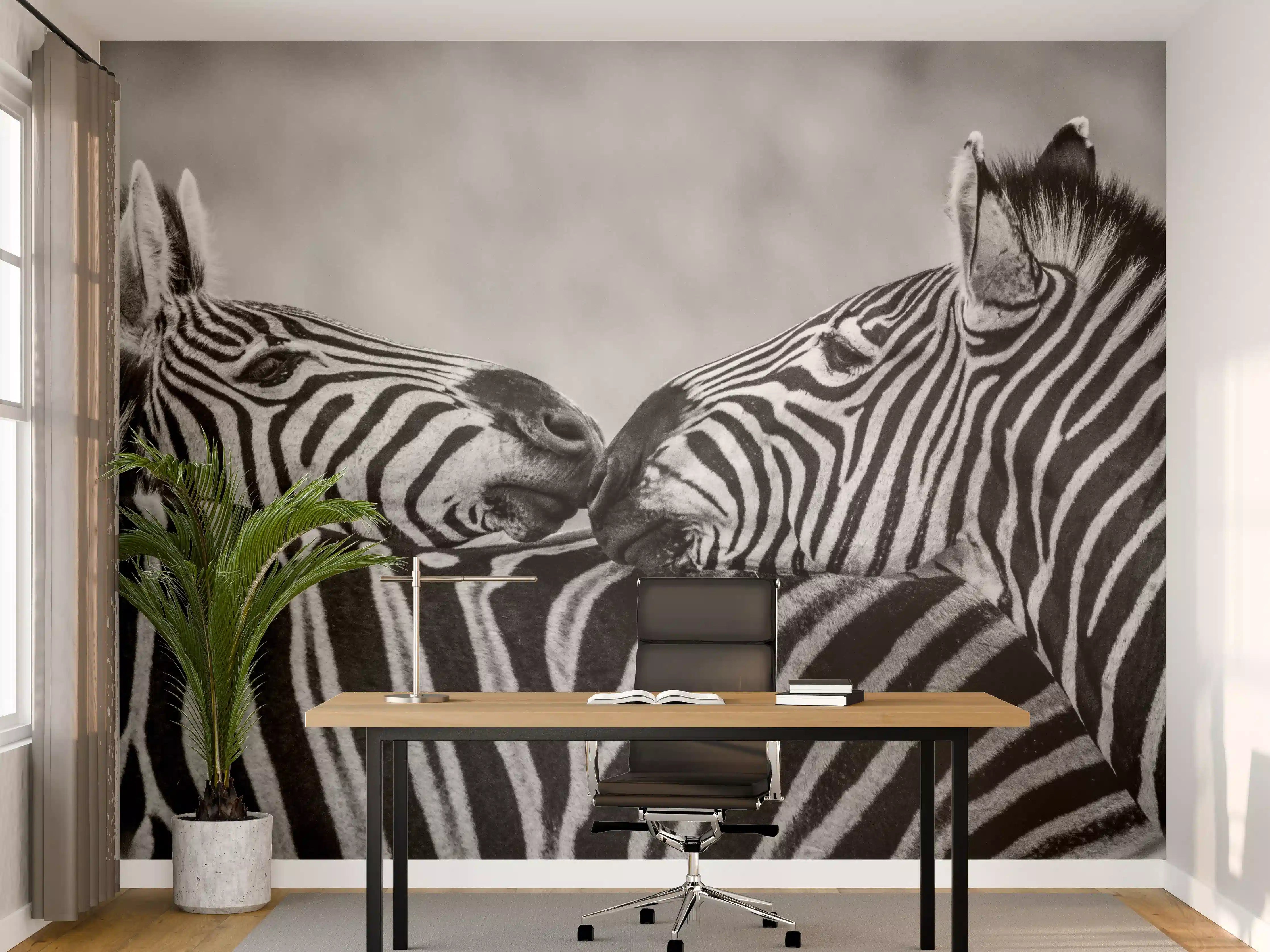 Büro Wandgestaltung - Zebras - Schwarz-weiß